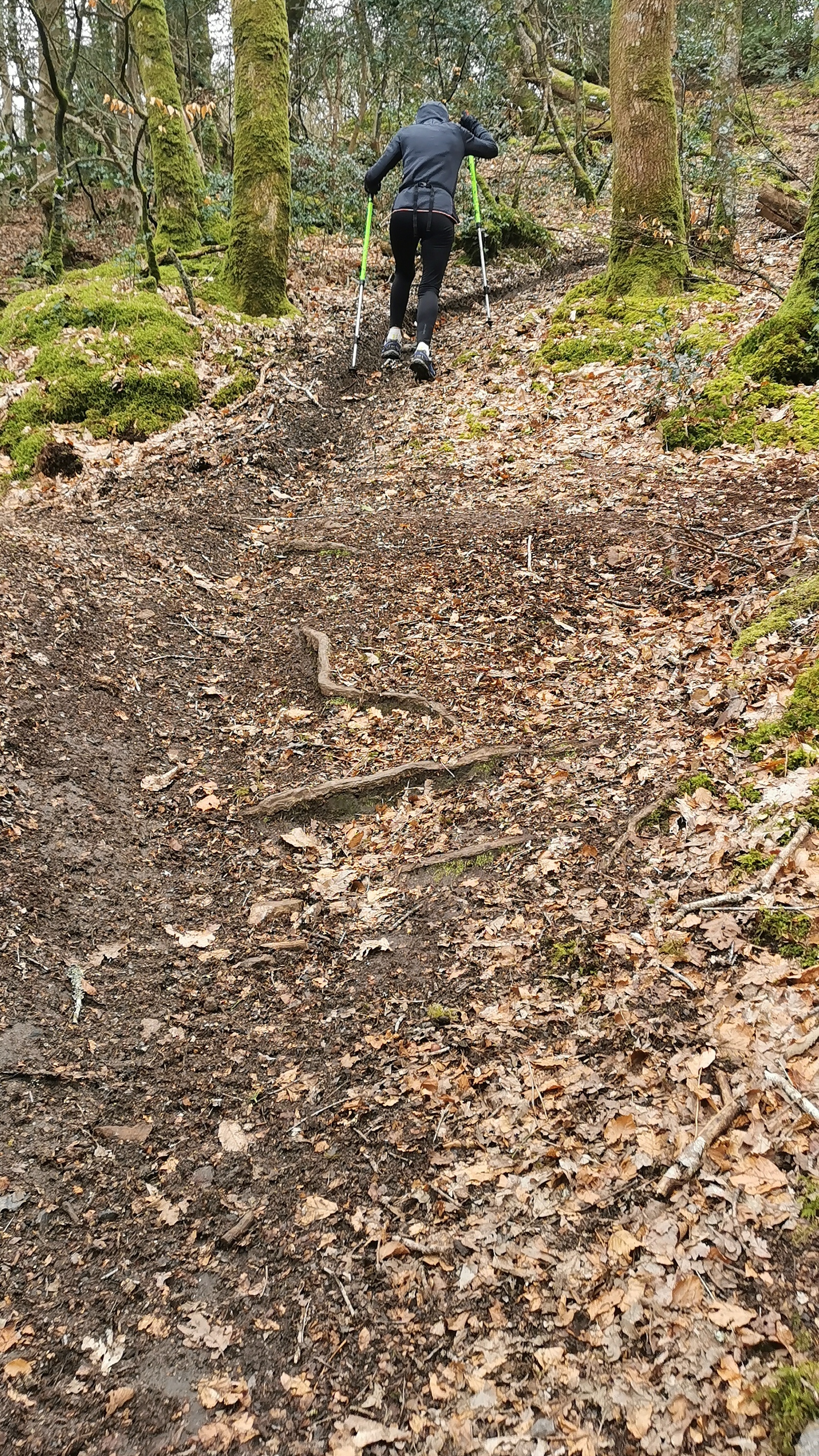 27-IMG_20210316_104241