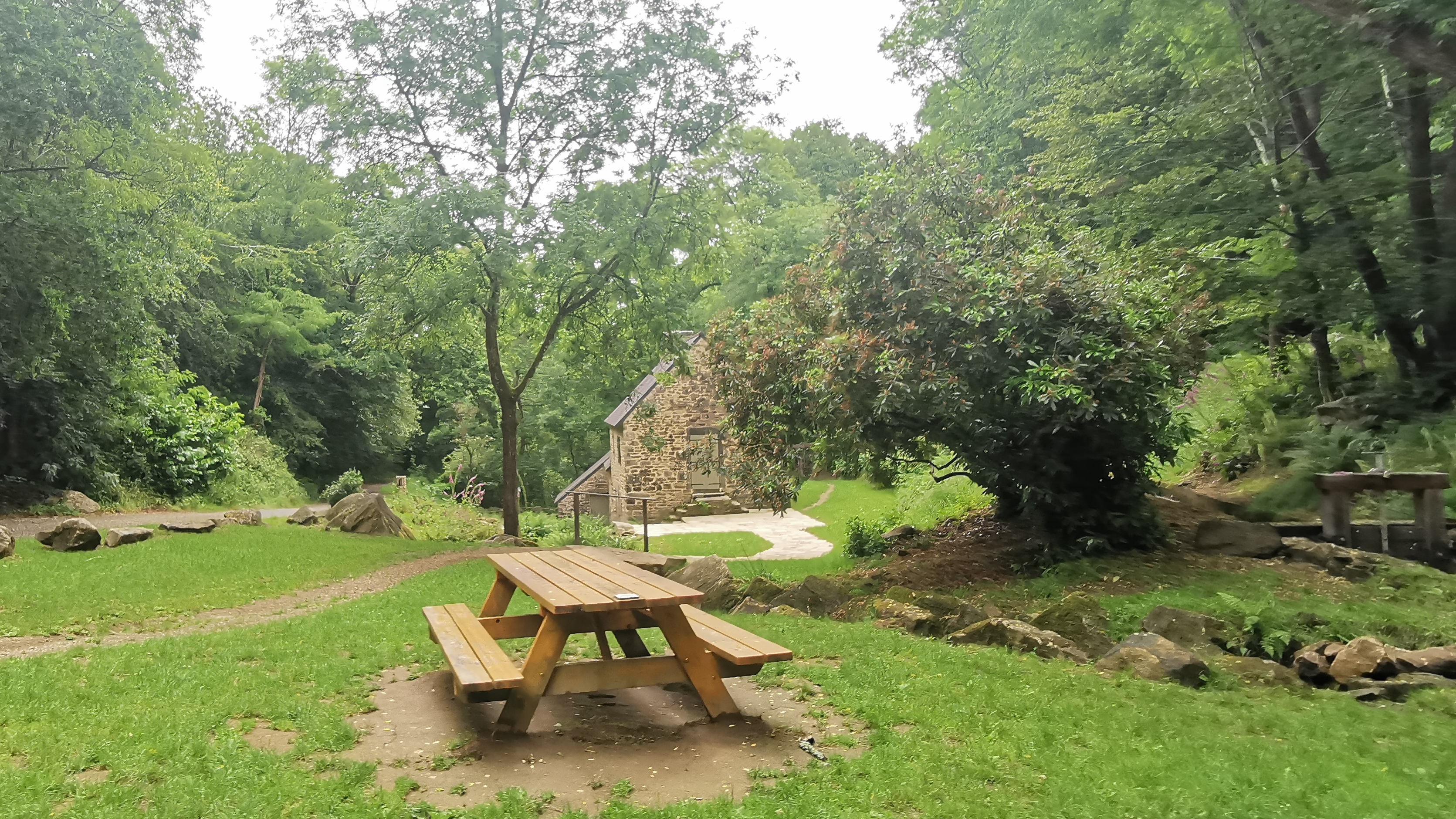 58-IMG_20210617_114118