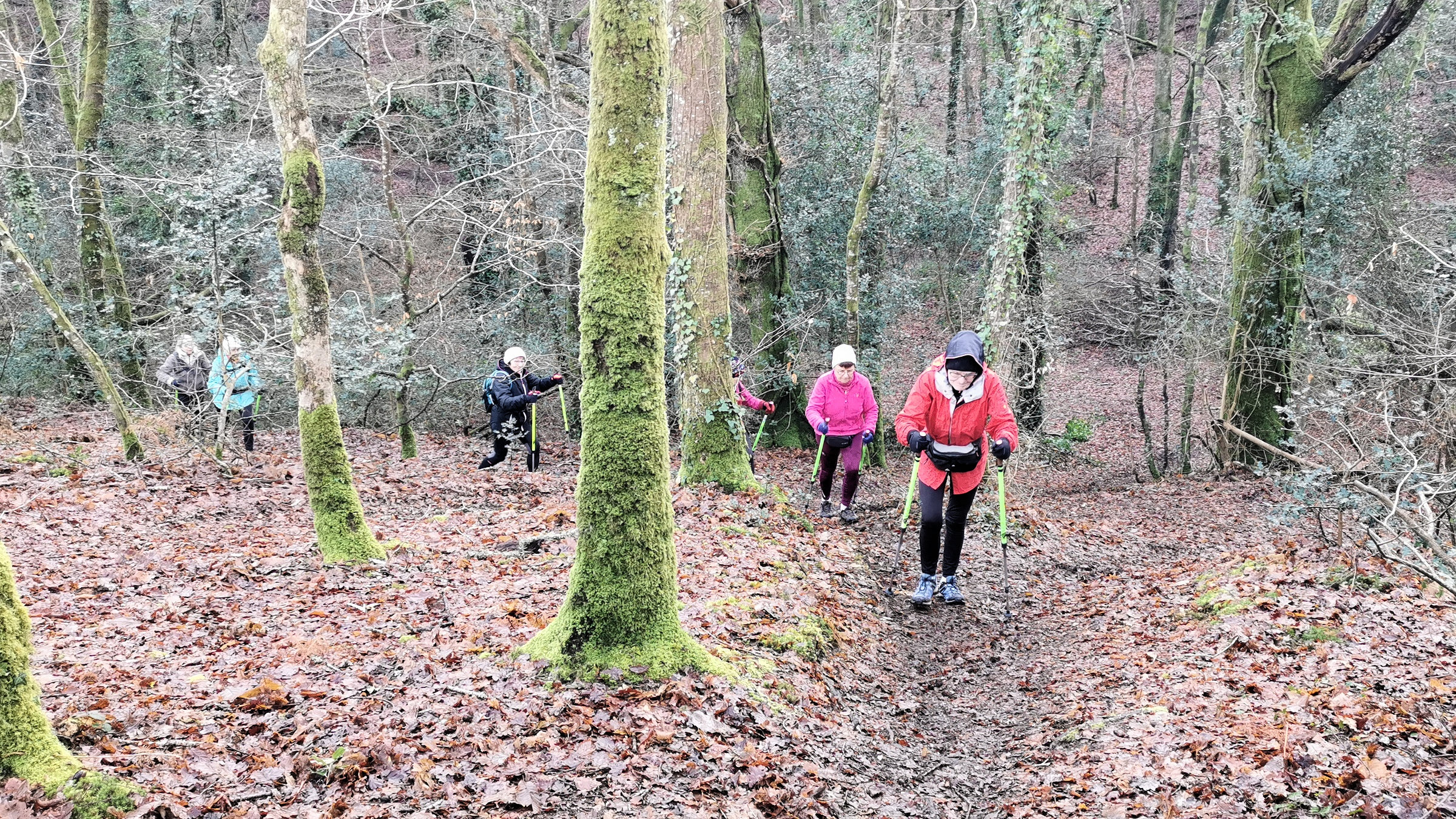 06-IMG_20210105_104330