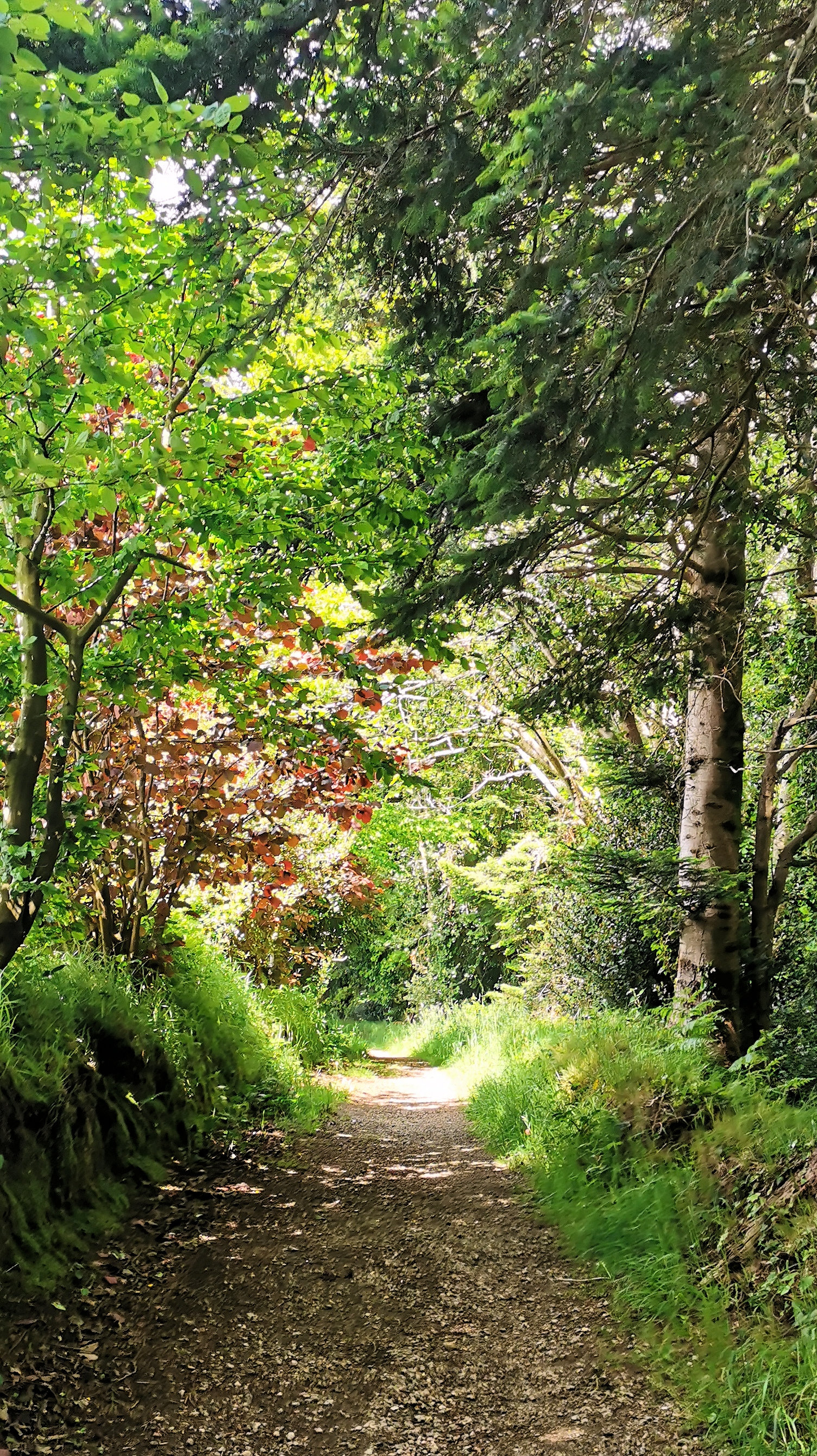 47-IMG_20210522_112721