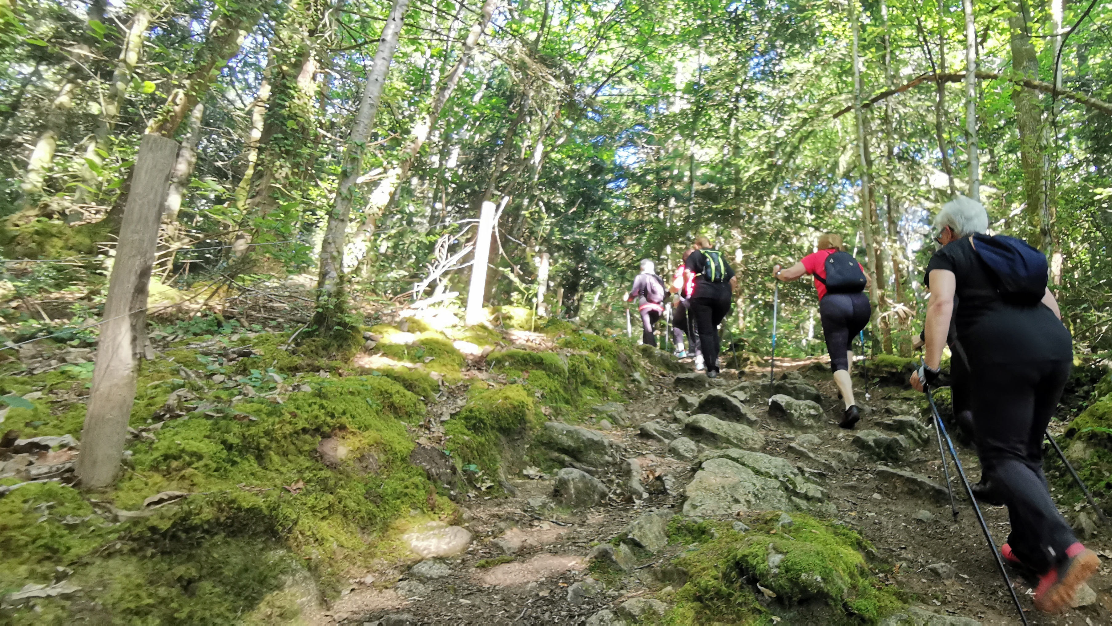 04-IMG_20210614_095129