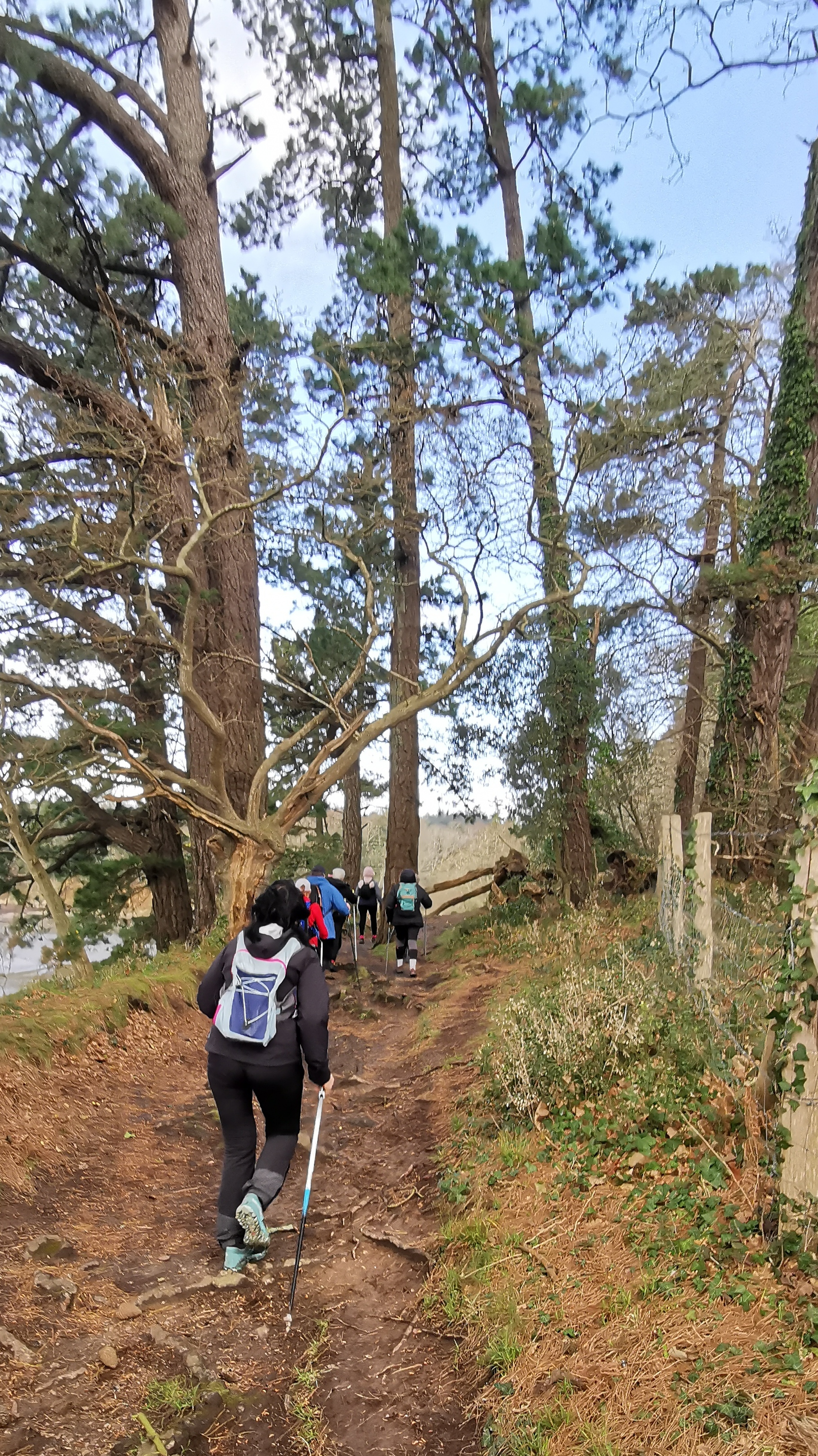 37-IMG_20210311_105458_1