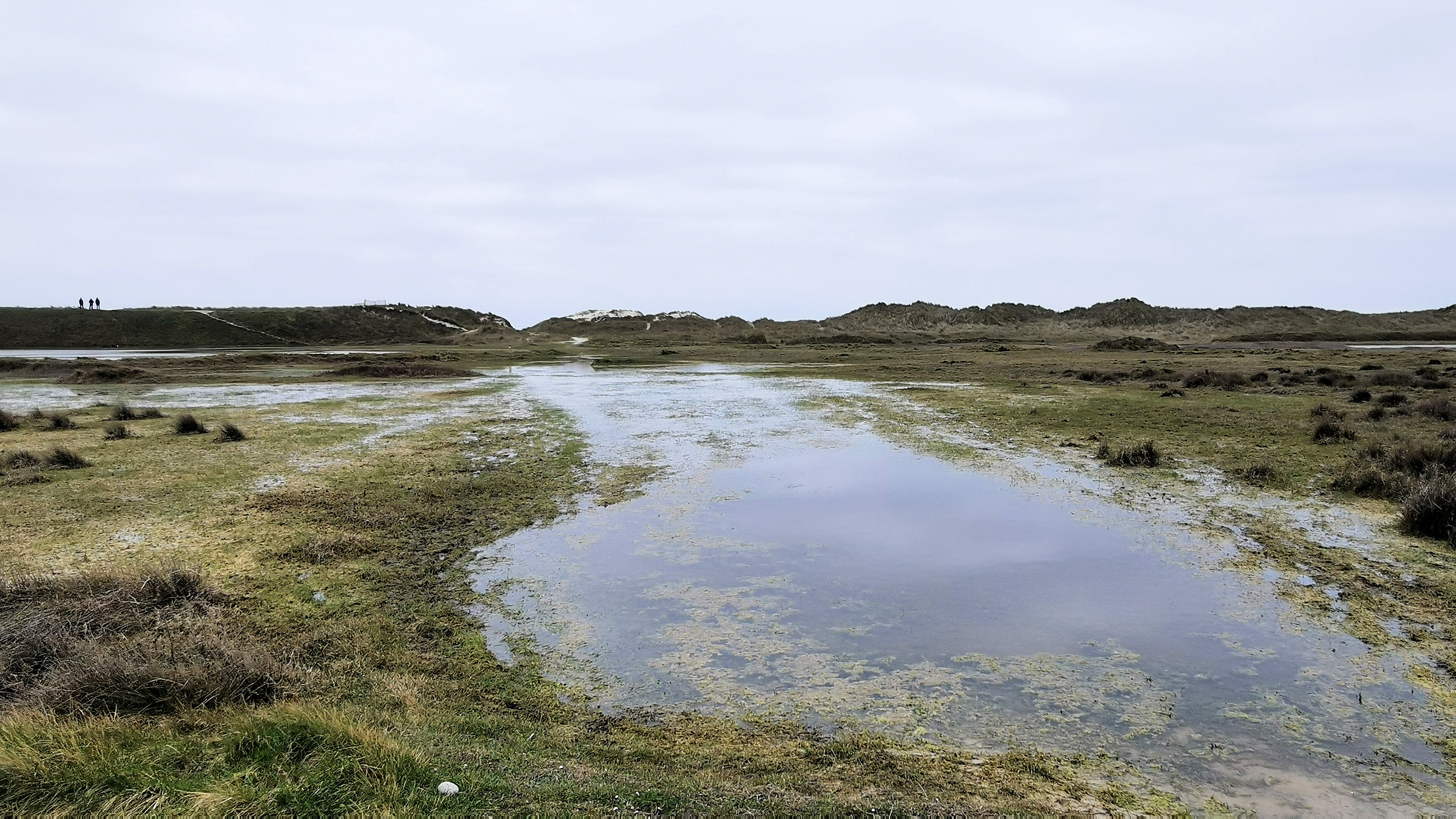 67-IMG_20210321_113723