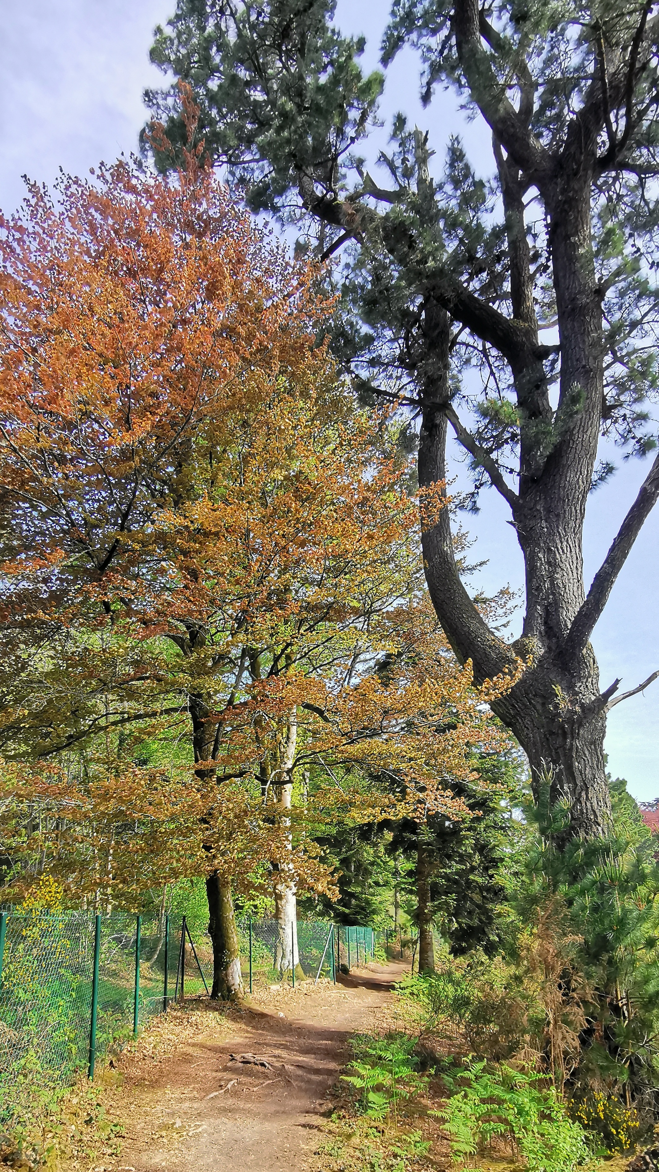 75-IMG_20210425_110902