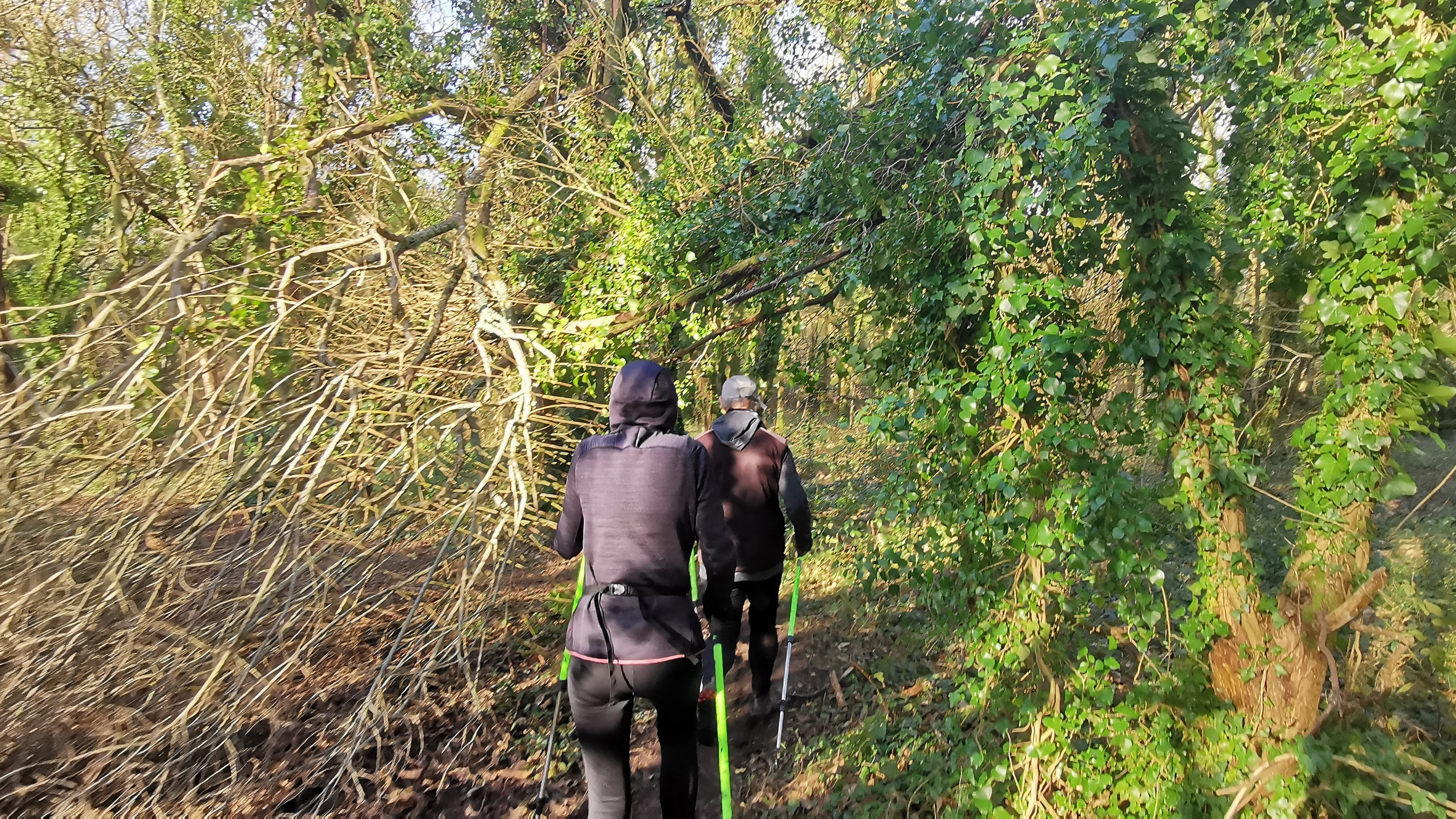 18-IMG_20210223_101816