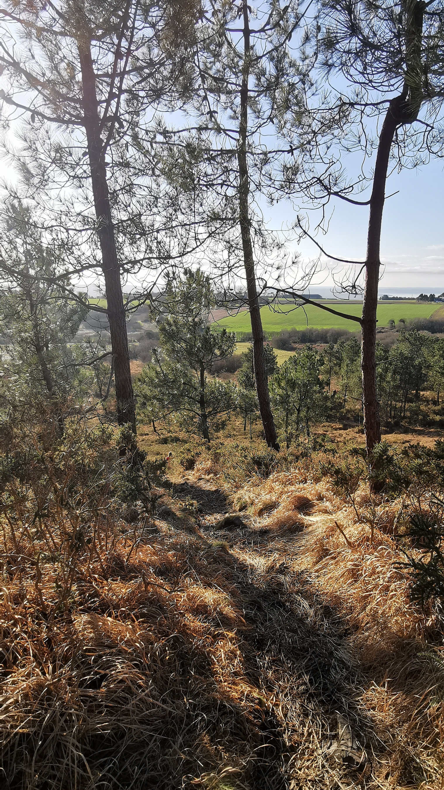 147-IMG_20210110_113859