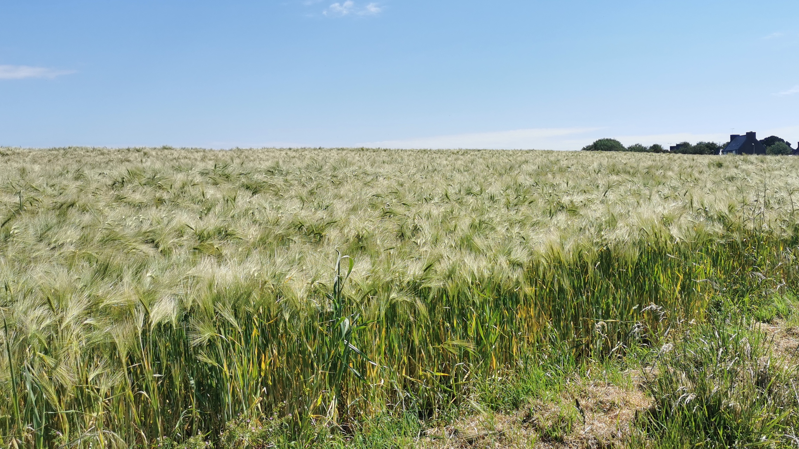 69-IMG_20210530_114530