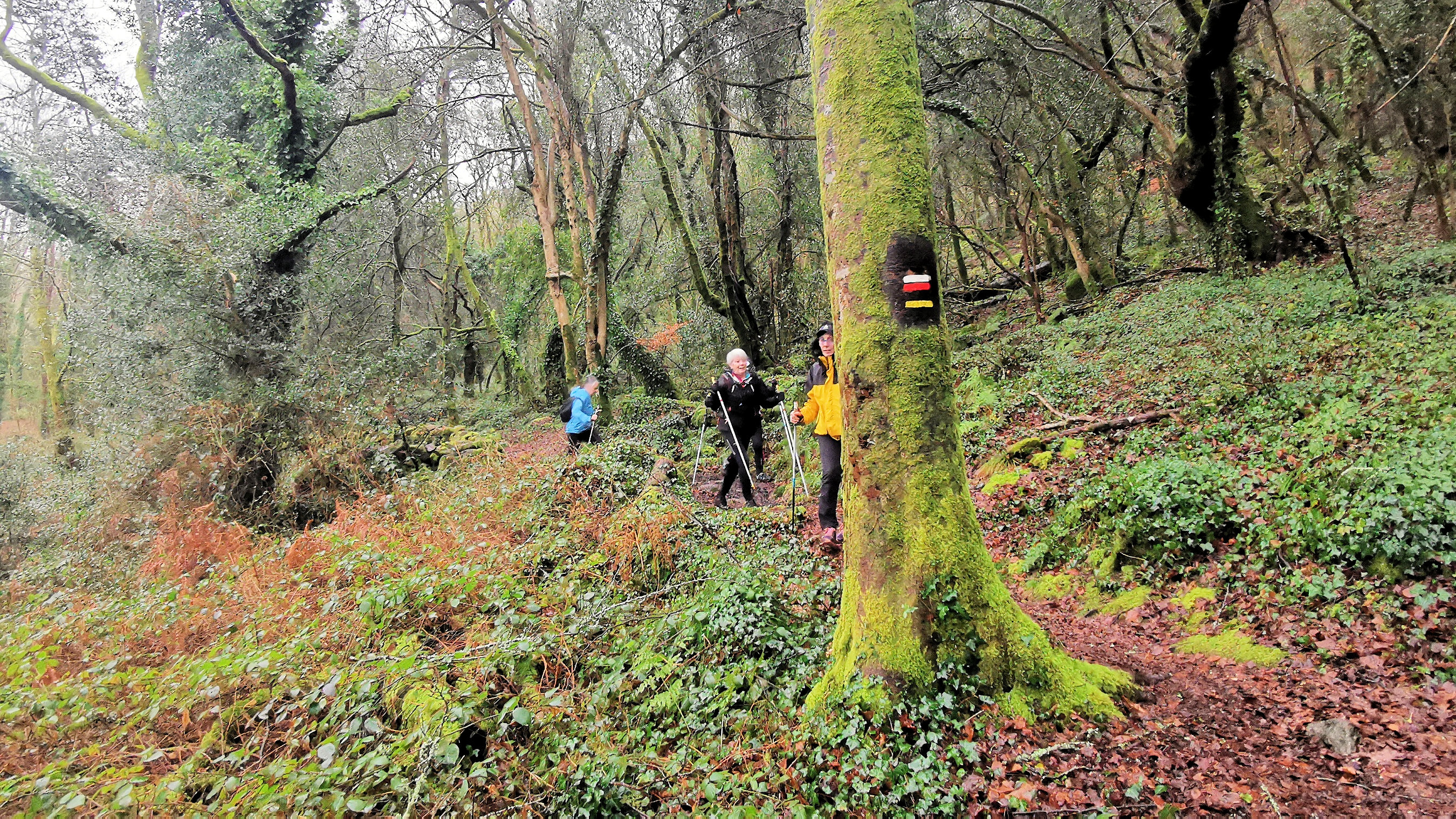 46-IMG_20210121_104313