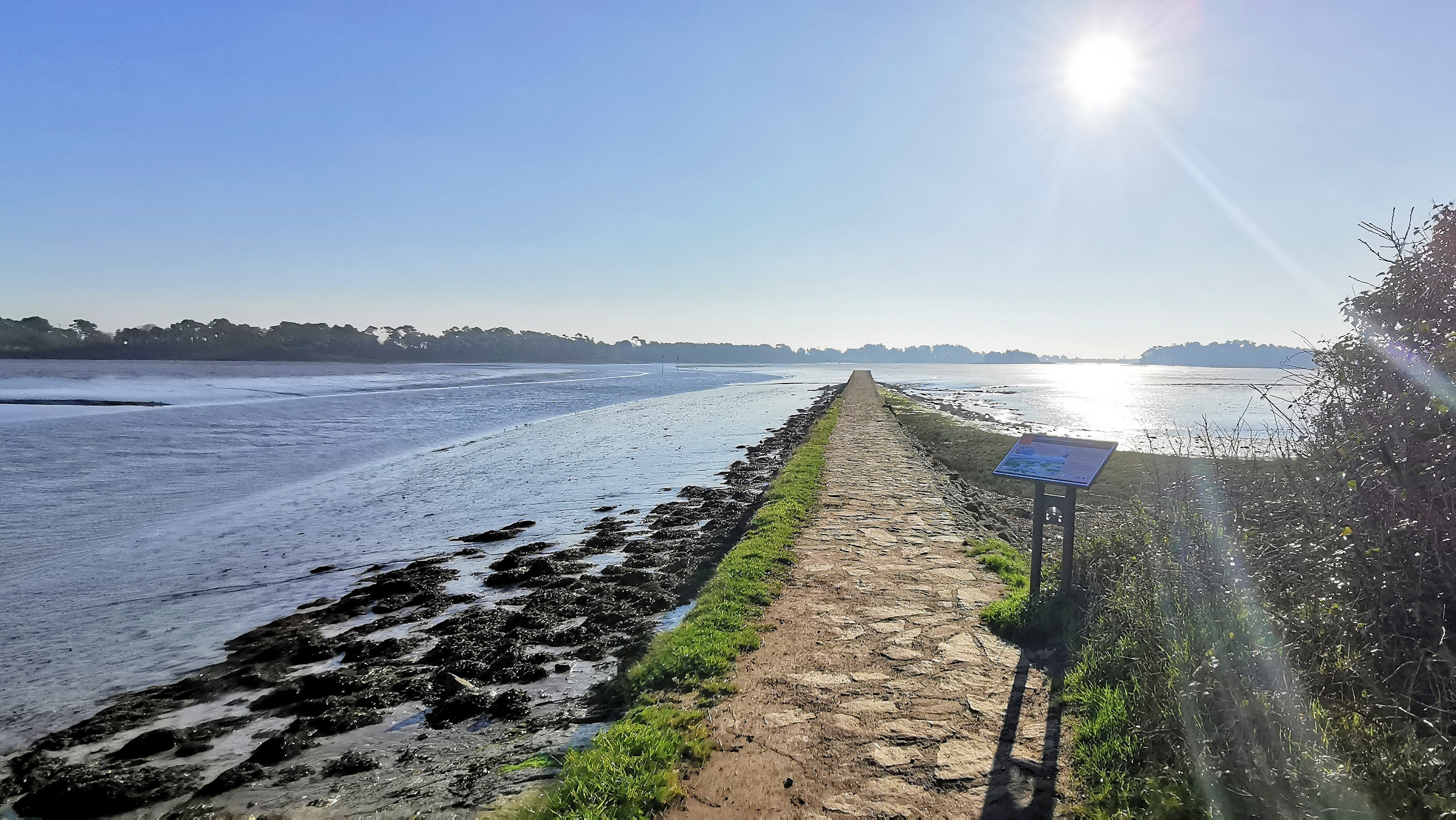 010-IMG_20210228_100015