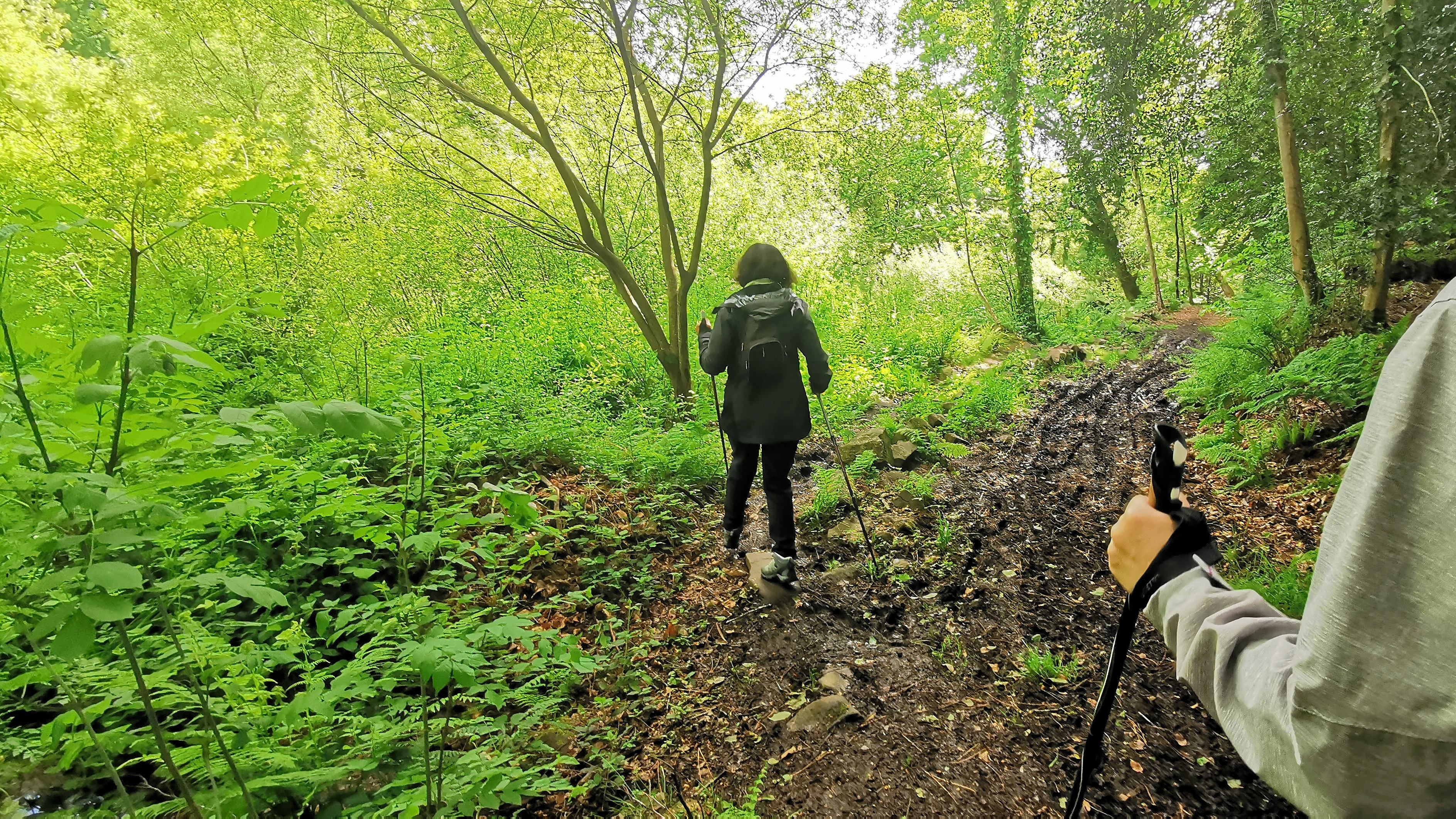 36-IMG_20210522_111740