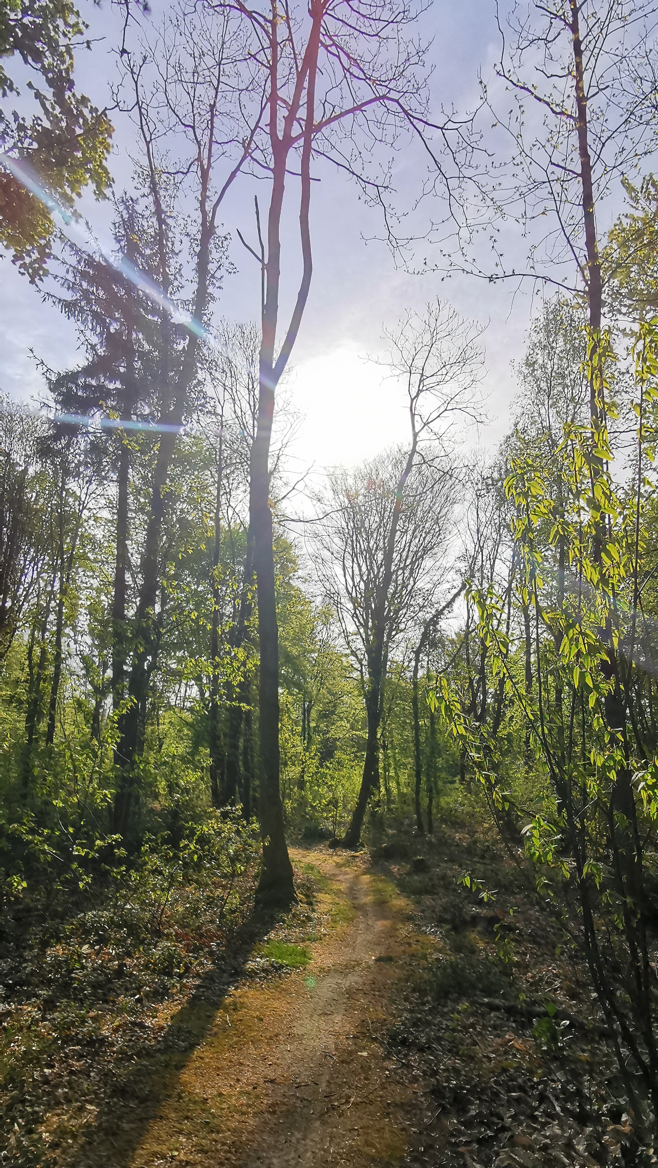 05-IMG_20210426_100750