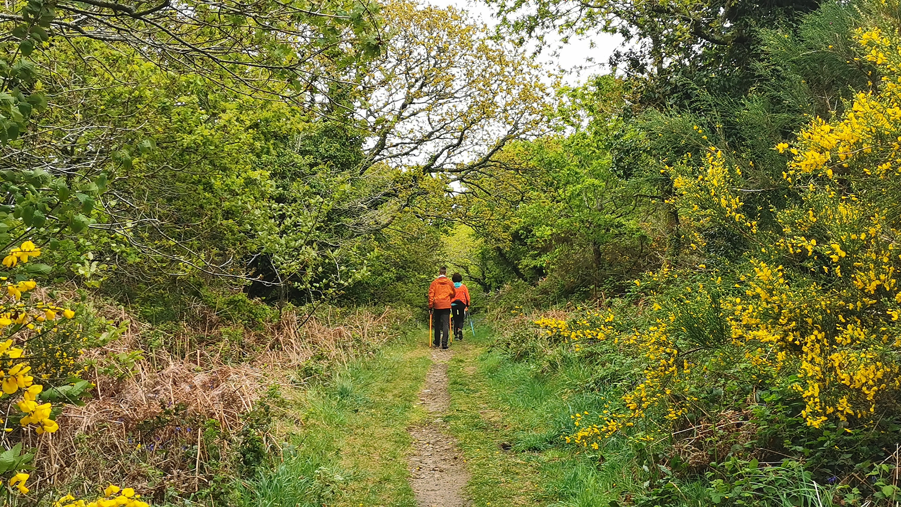 59-IMG_20210508_112257