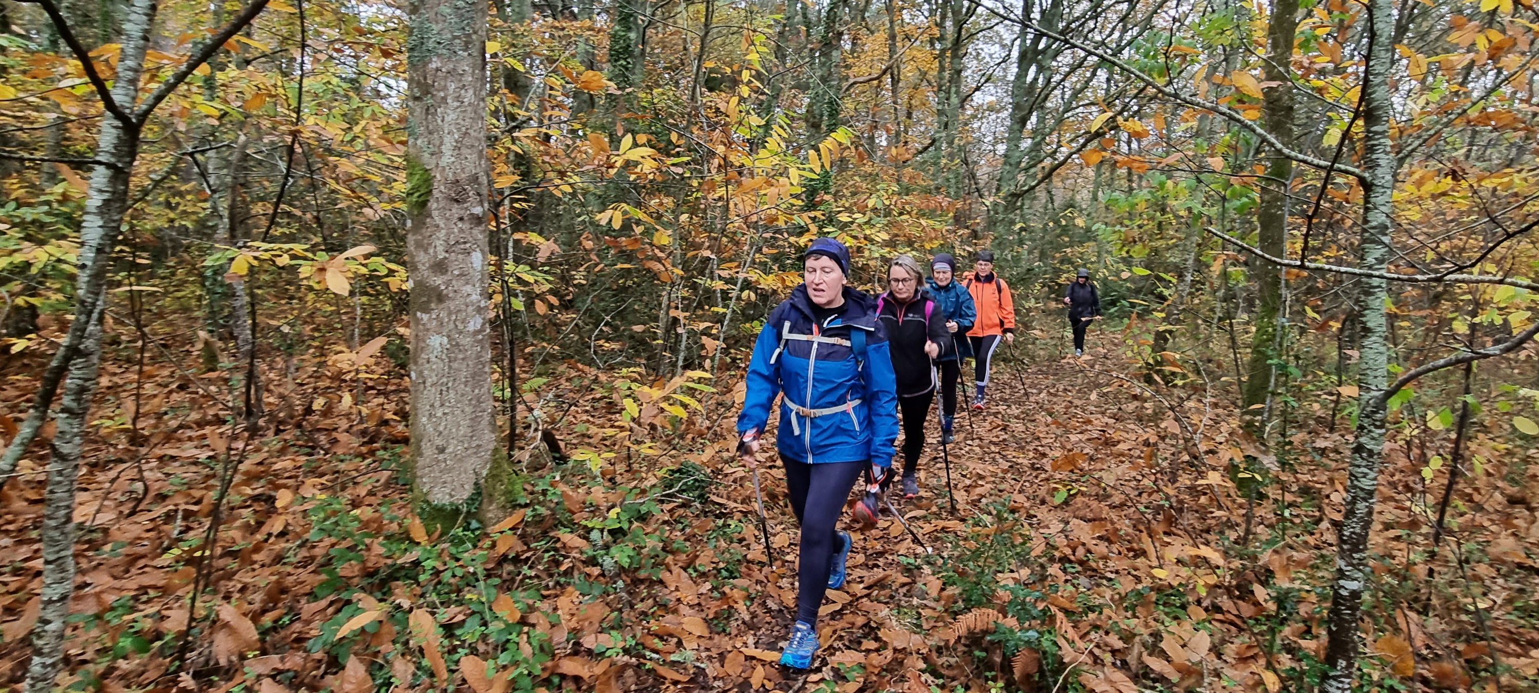 23-20211121_102007(0)