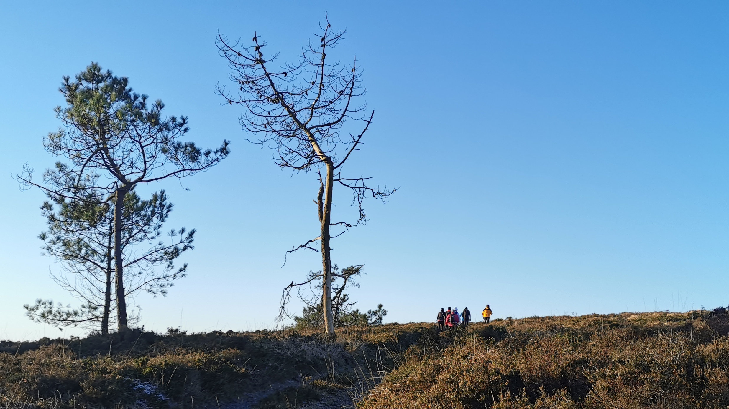 024-IMG_20210110_100515