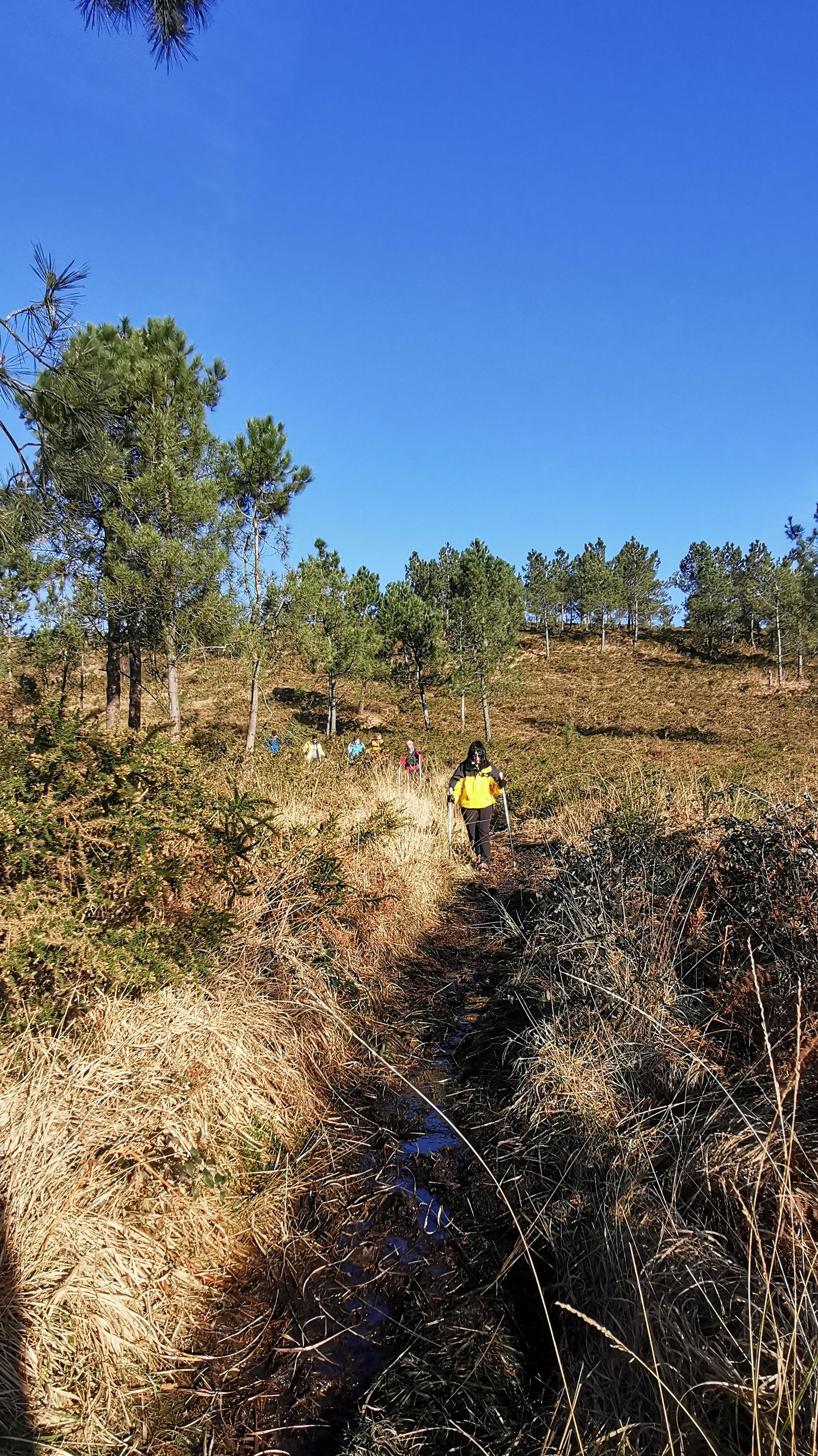 151-IMG_20210110_114153