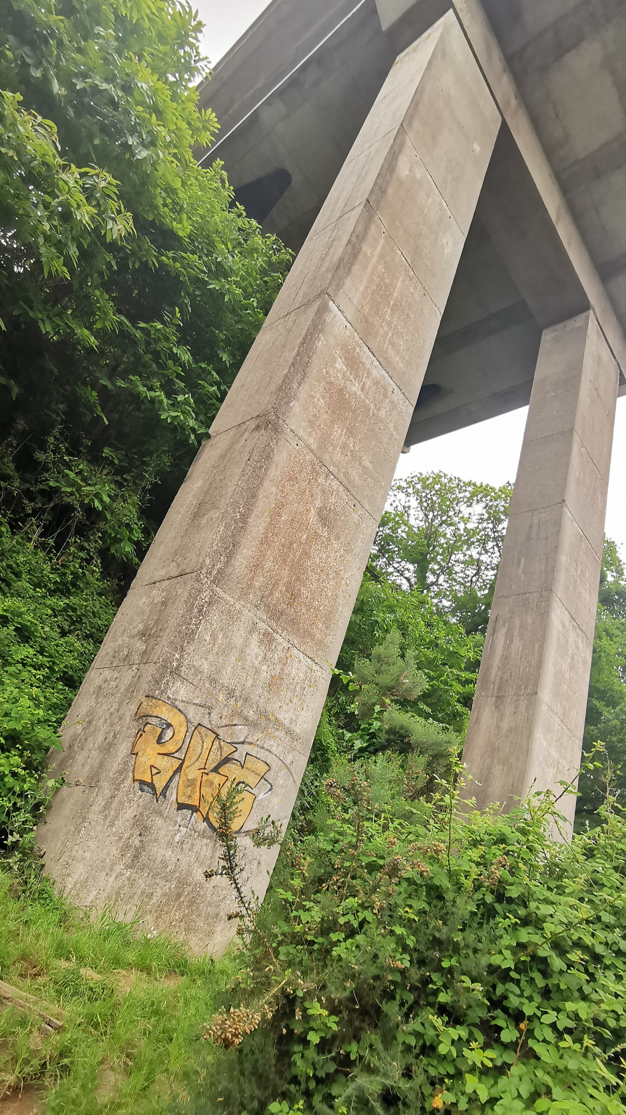 055-IMG_20210606_104546