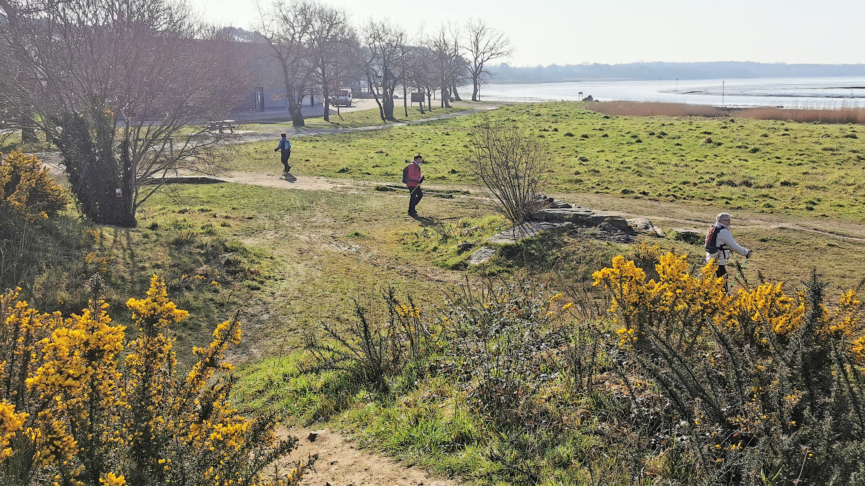 31-IMG_20210301_110410