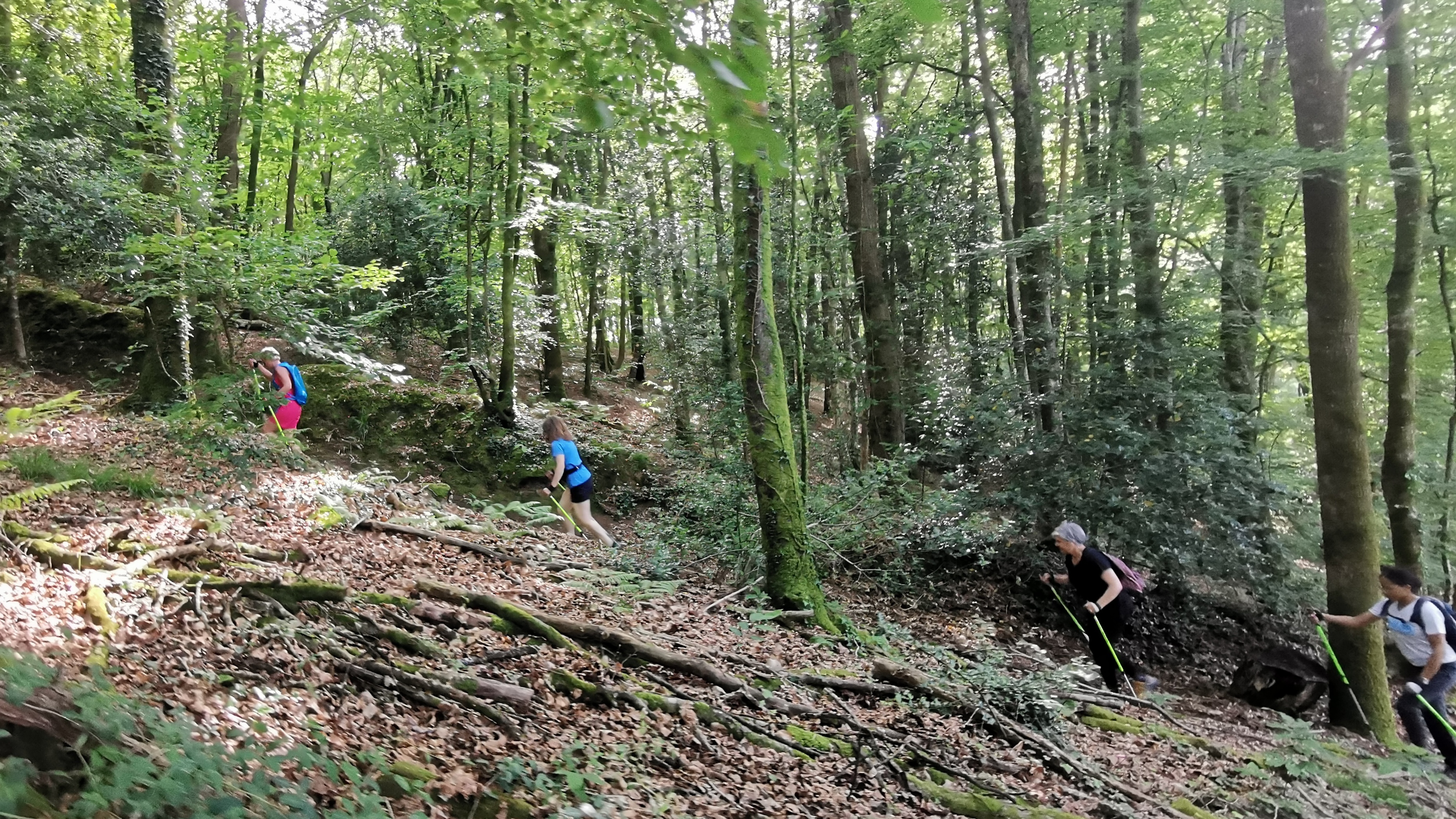 39-IMG_20210608_183338_1