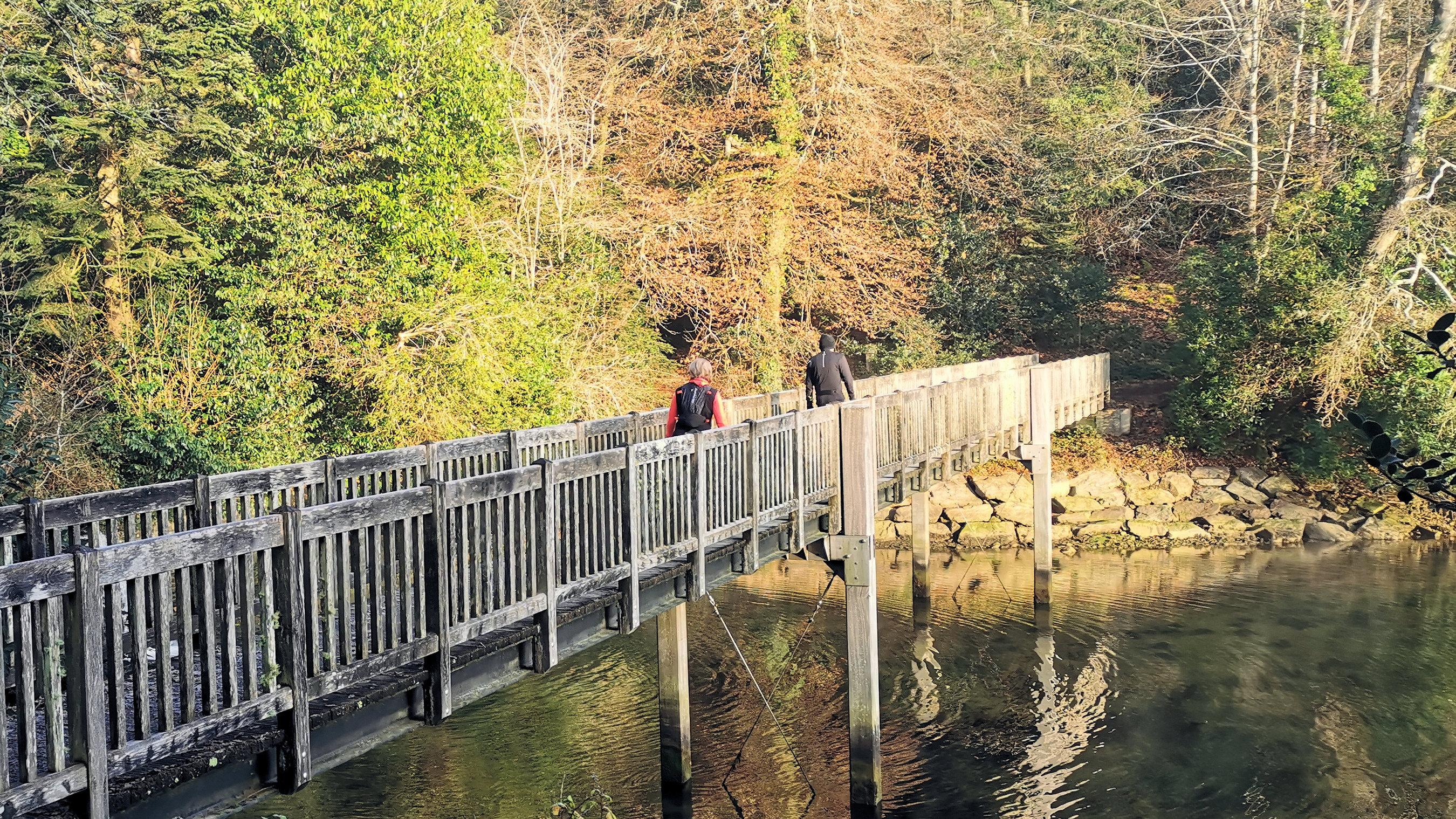 19-IMG_20210107_103045