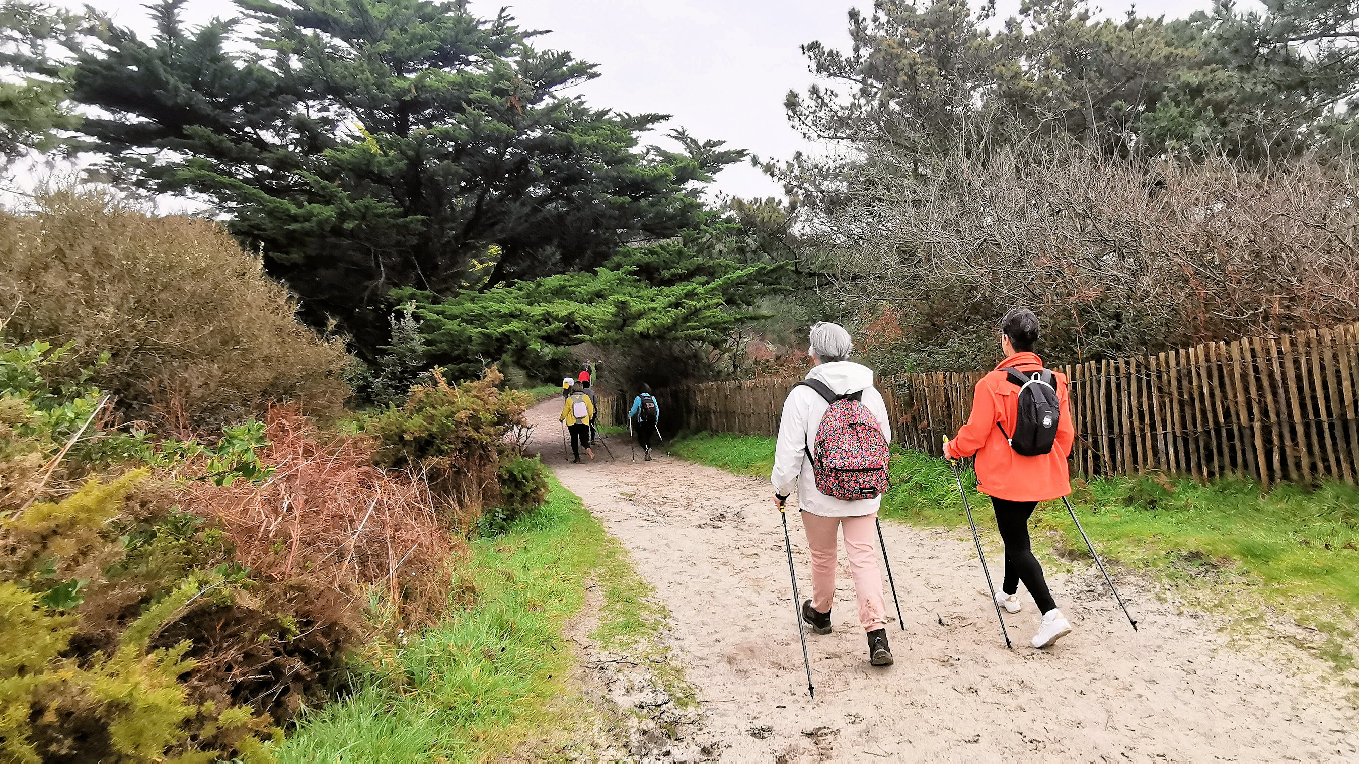 15-IMG_20210221_104111