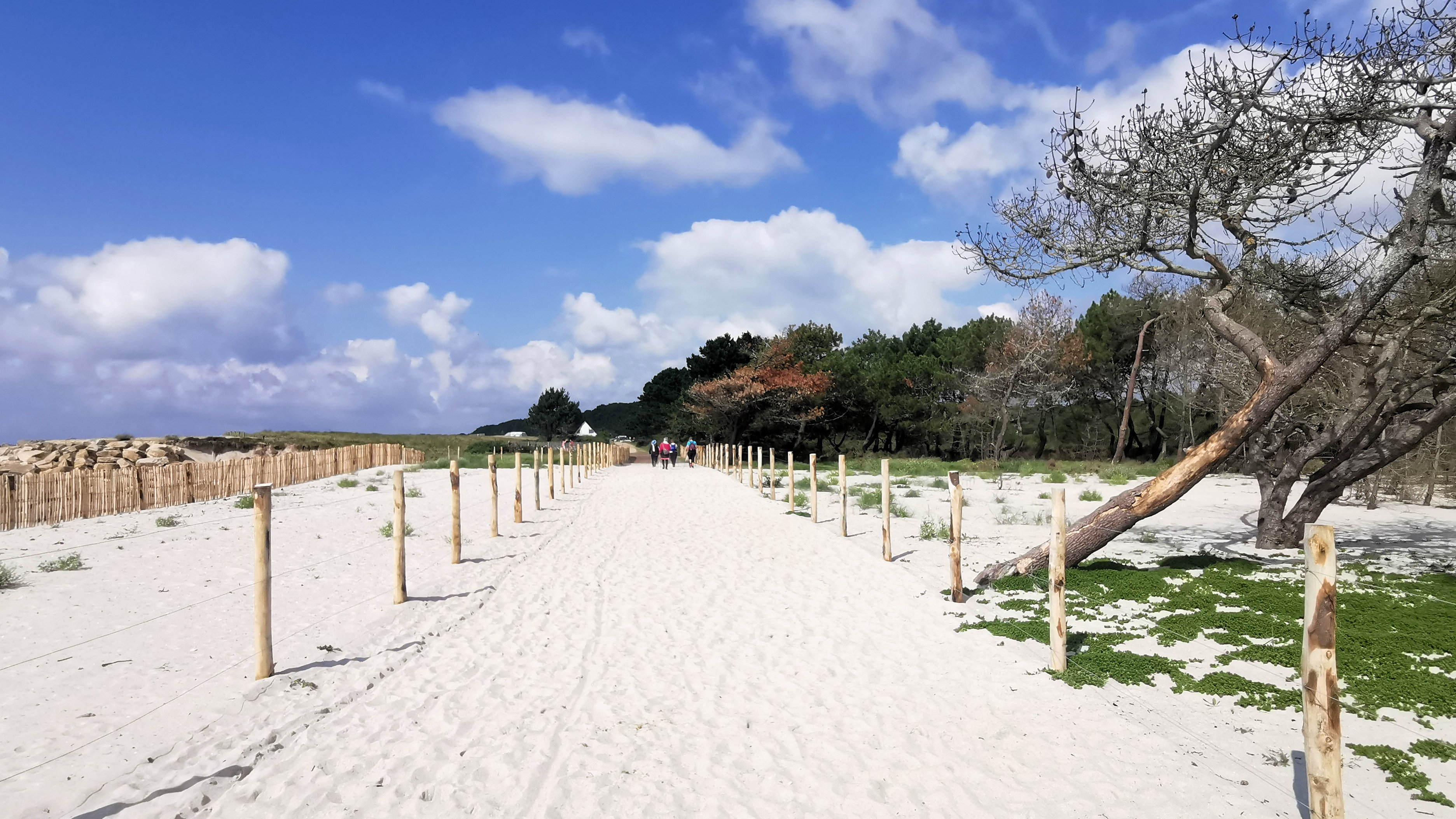 47-IMG_20210726_114405