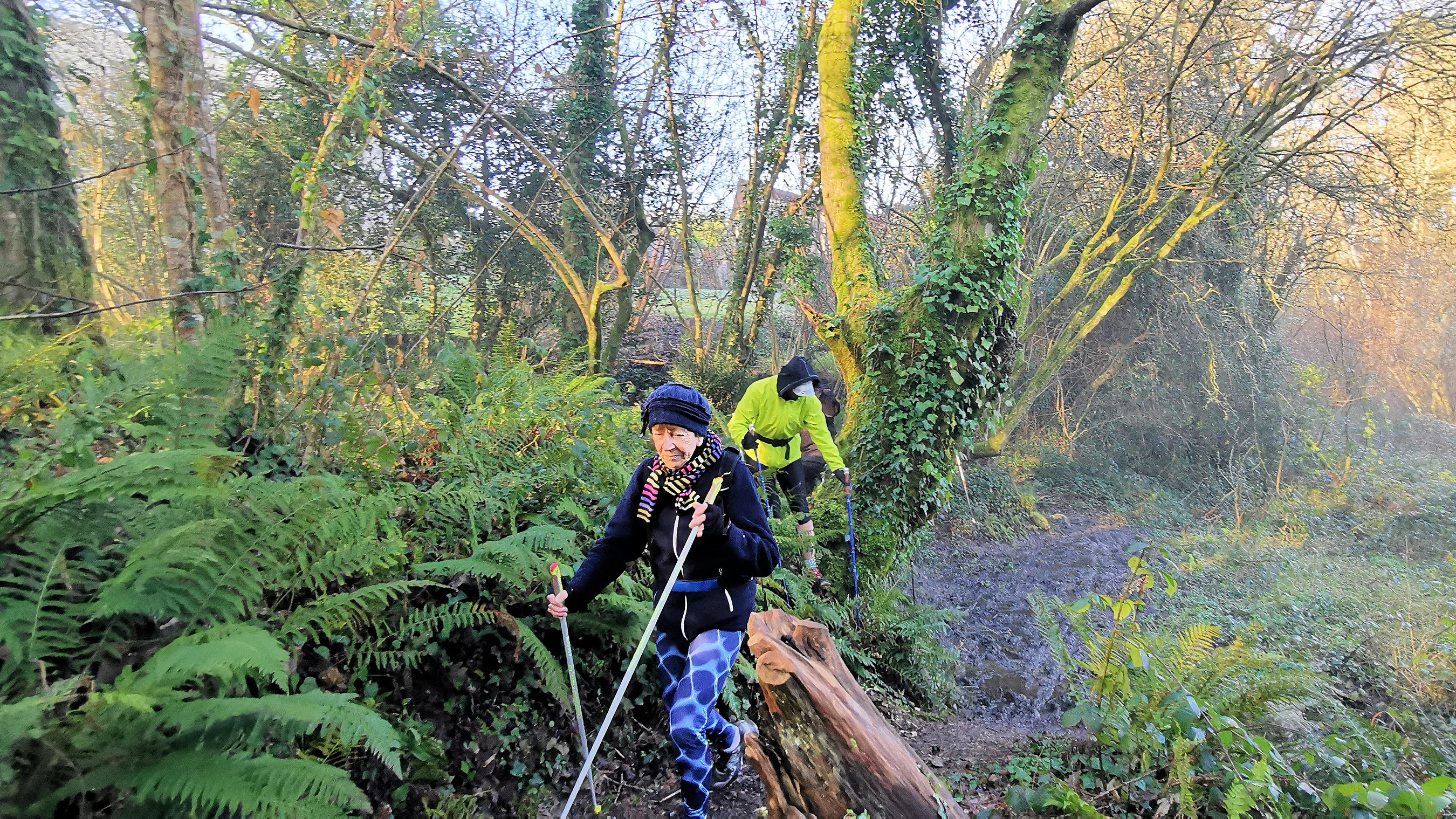 22-IMG_20210206_103339