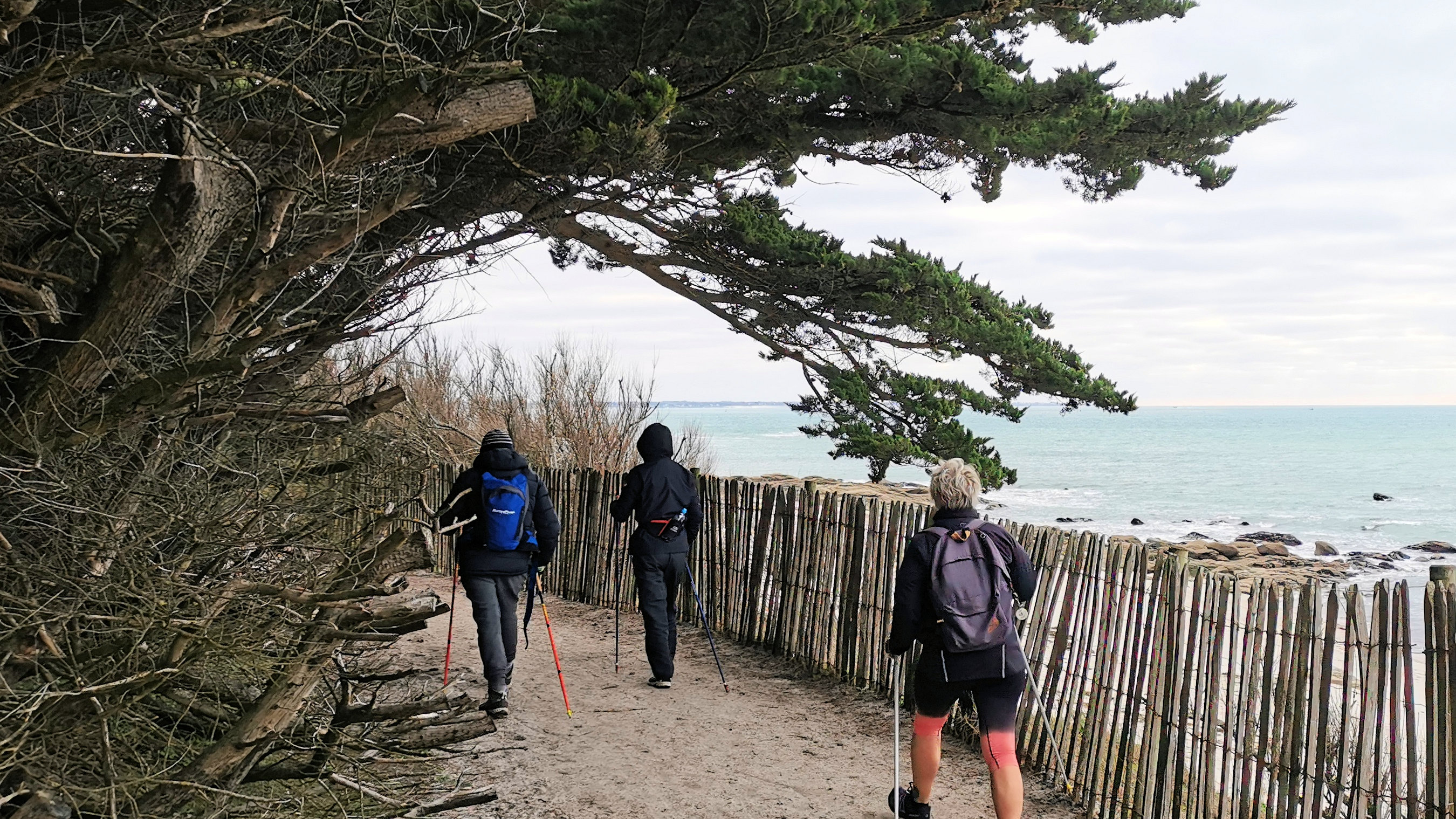 15-IMG_20210208_104735