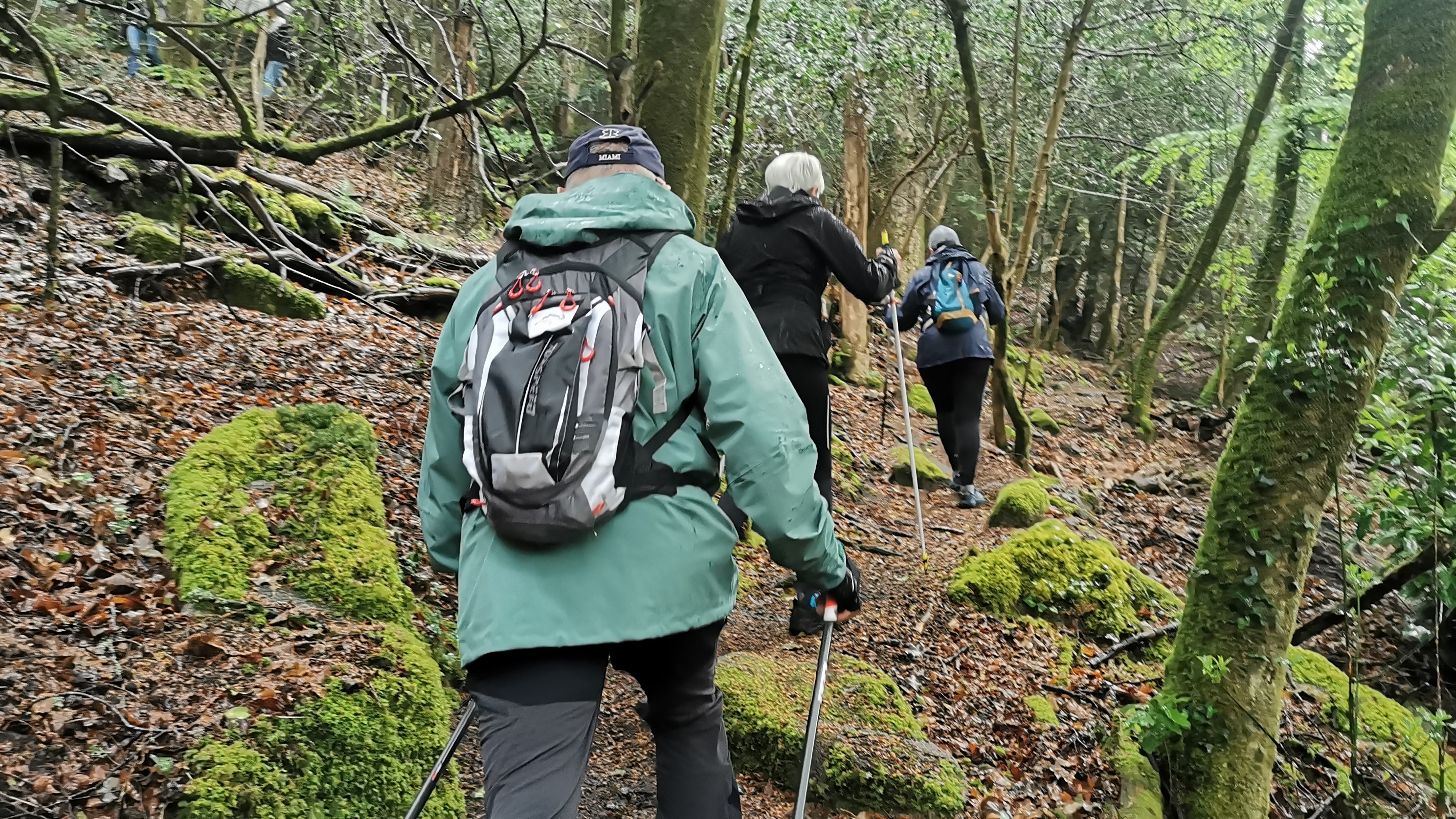 020-IMG_20210513_095213