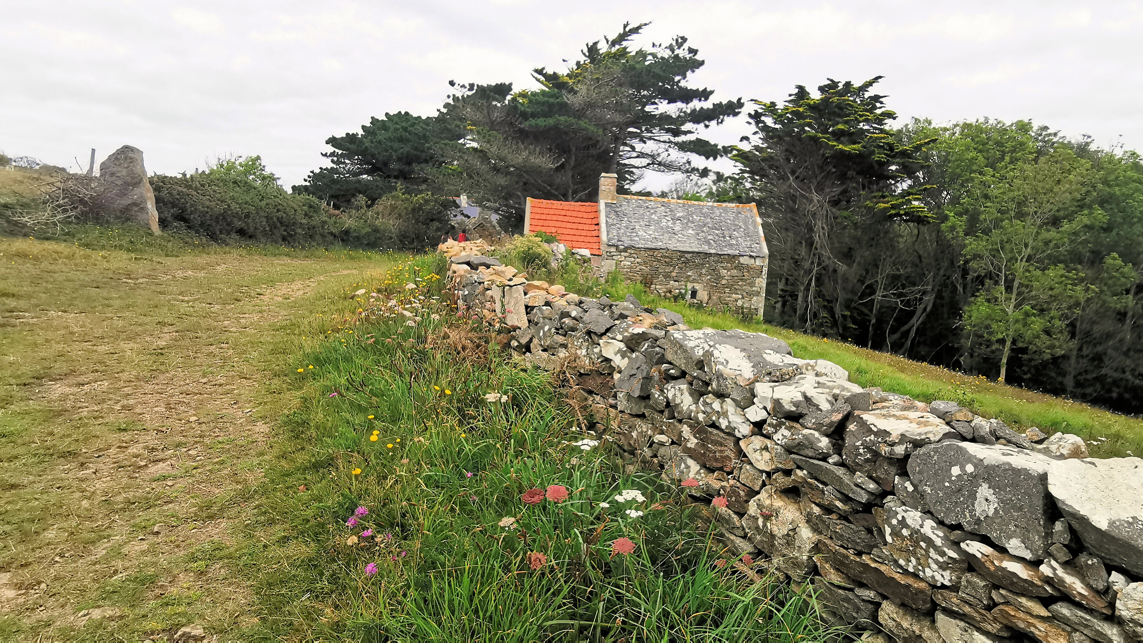 227-IMG_20210815_142233