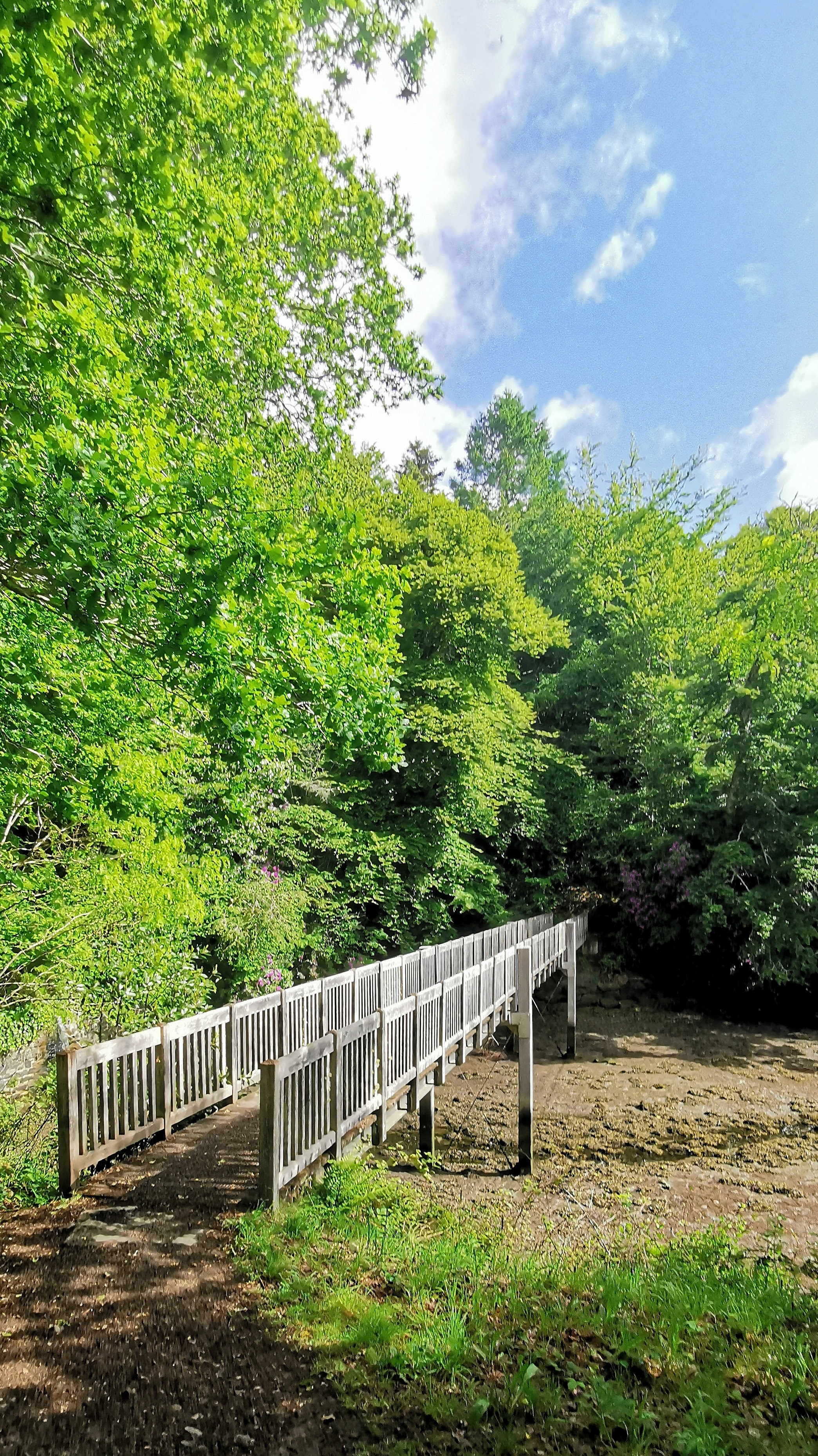 19-IMG_20210522_104959_1