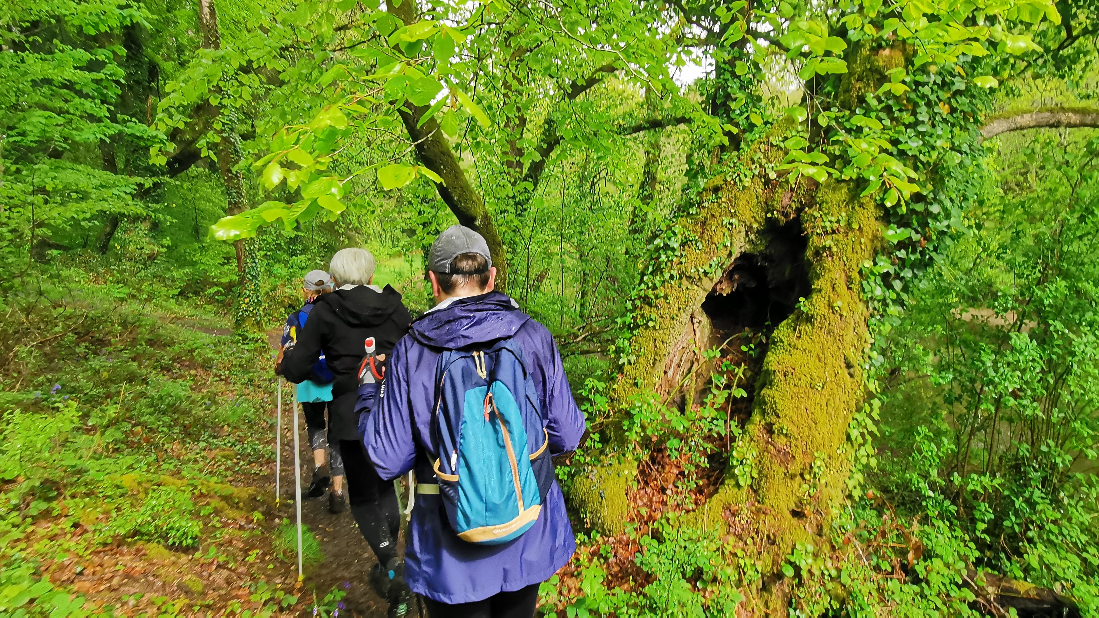 098-IMG_20210513_111350_1