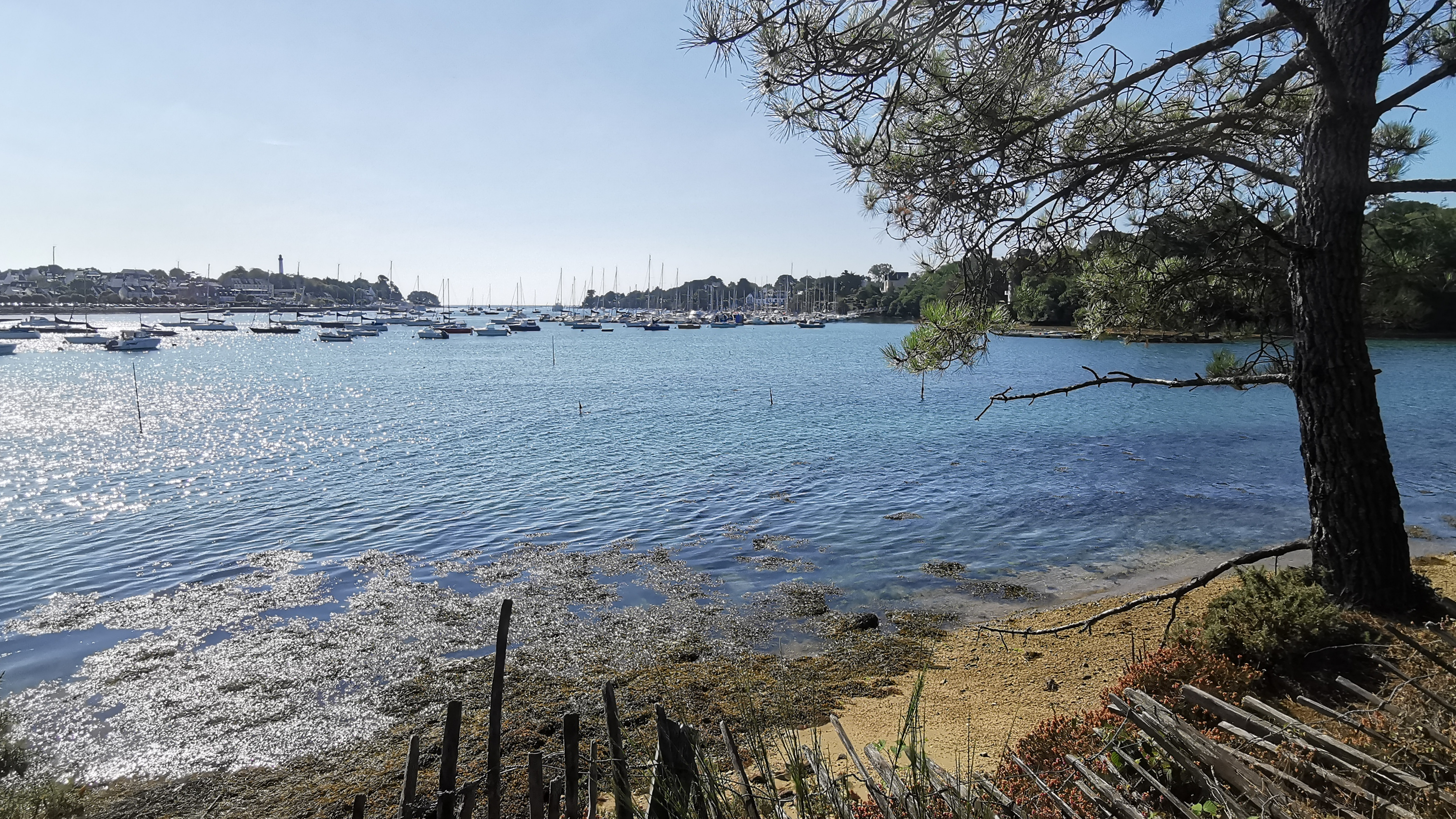 31-IMG_20210829_113024