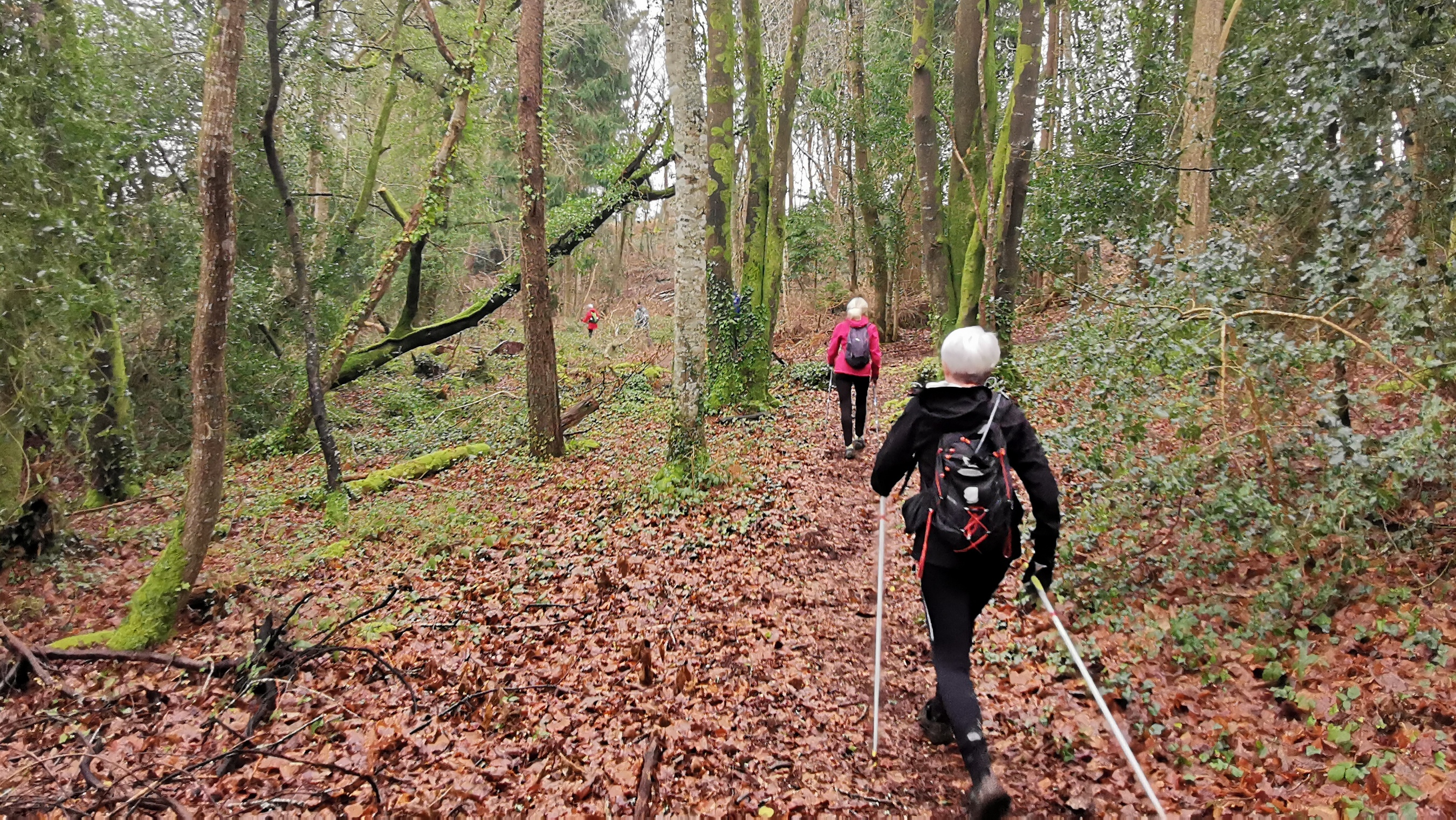 025-IMG_20210220_104049_1