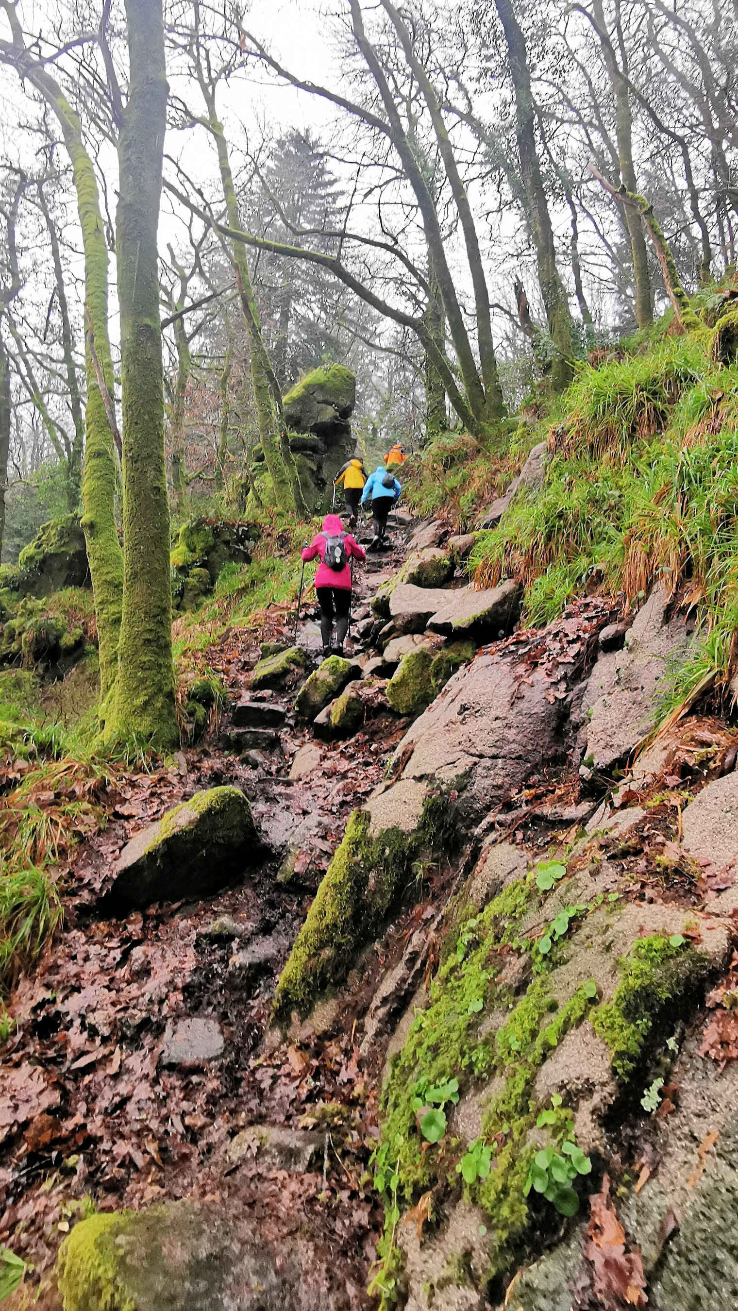 62-IMG_20210121_113202