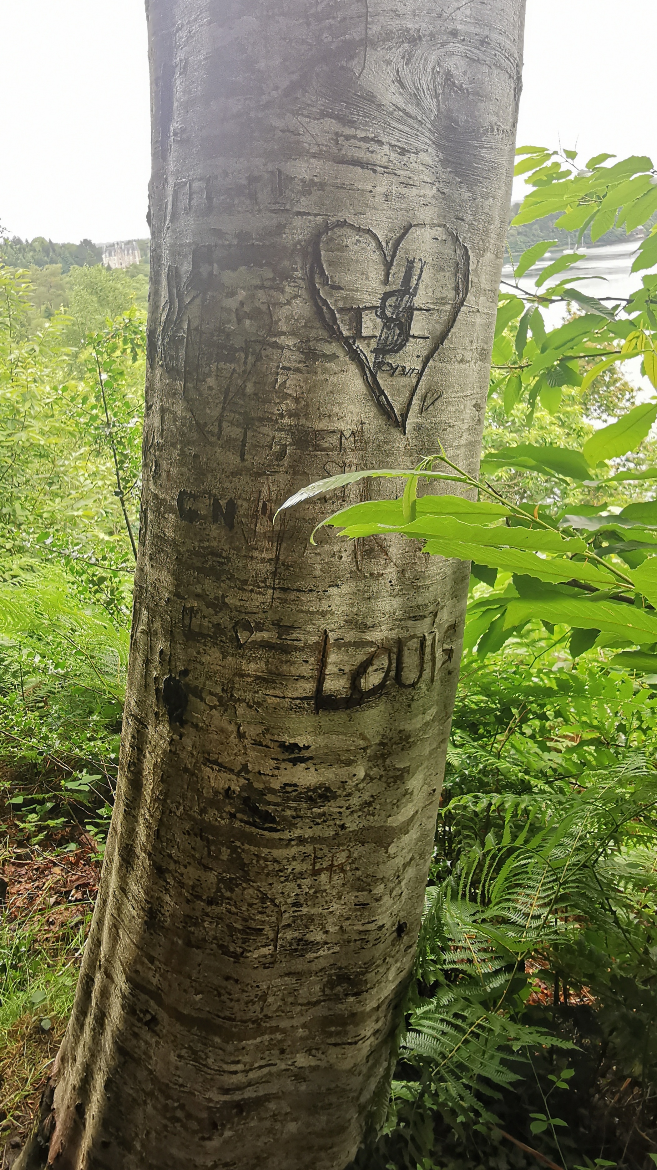 48-IMG_20210617_113239