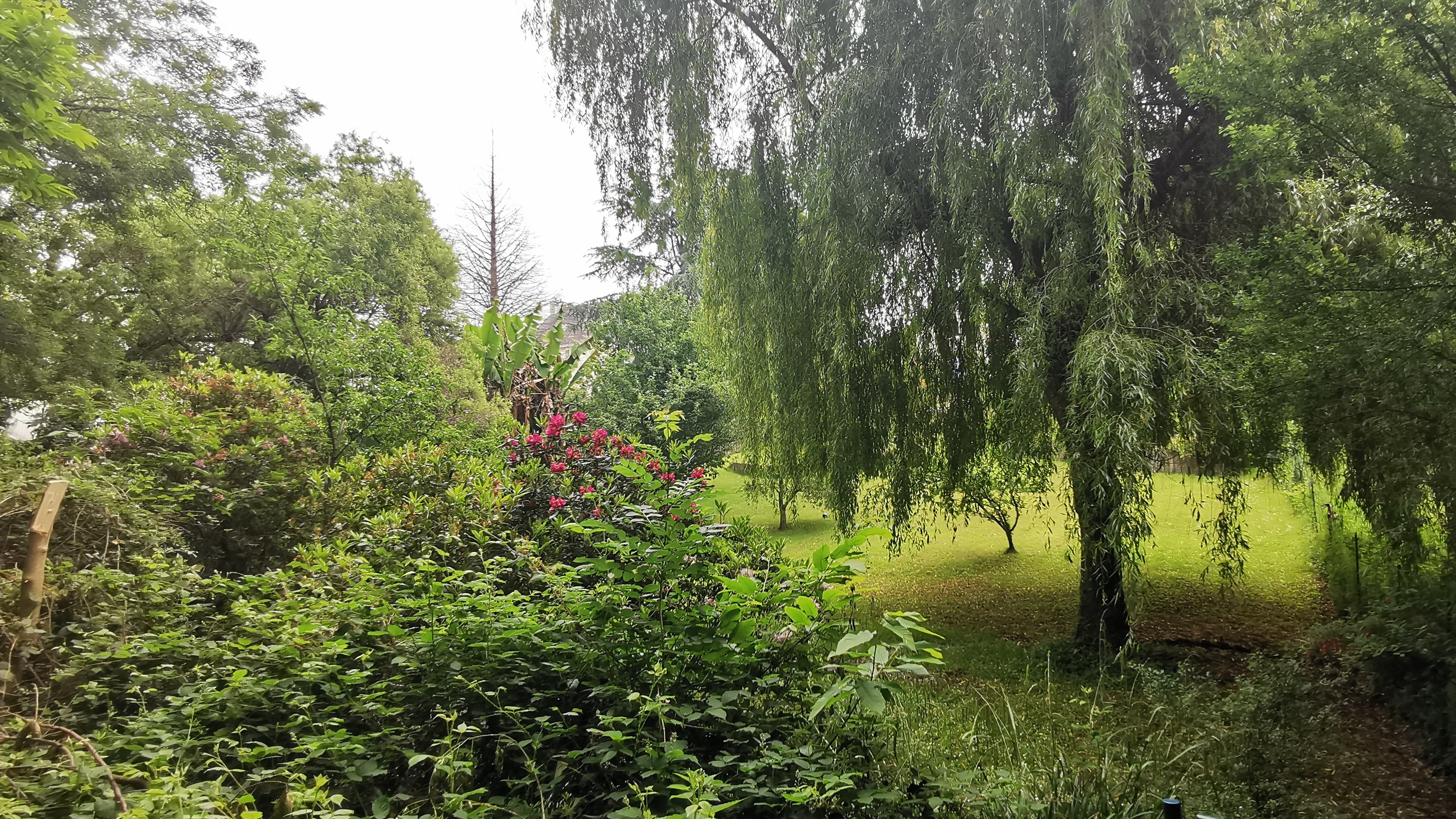 108-IMG_20210606_113952