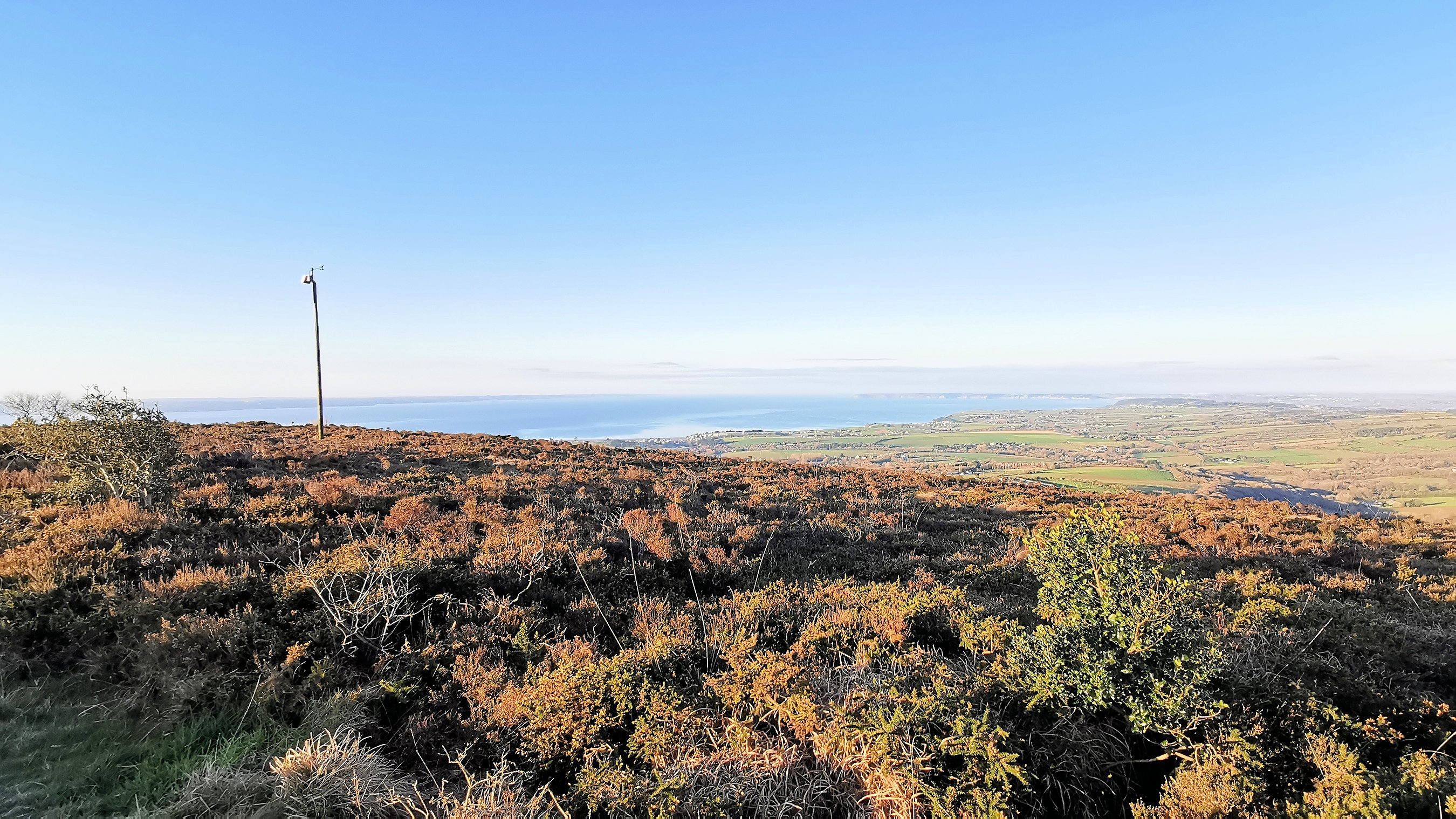 026-IMG_20210110_100941