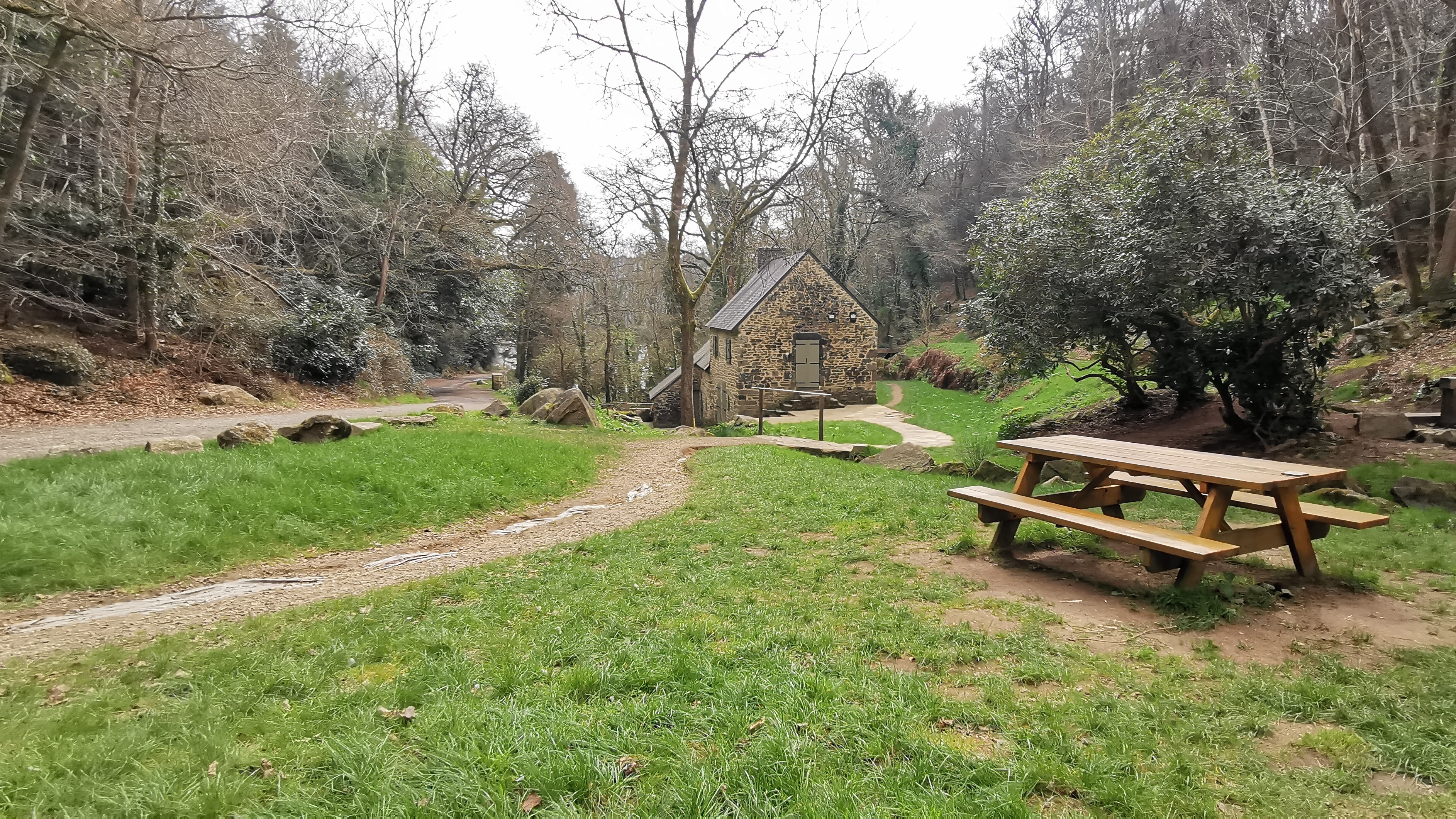 77-IMG_20210308_115316