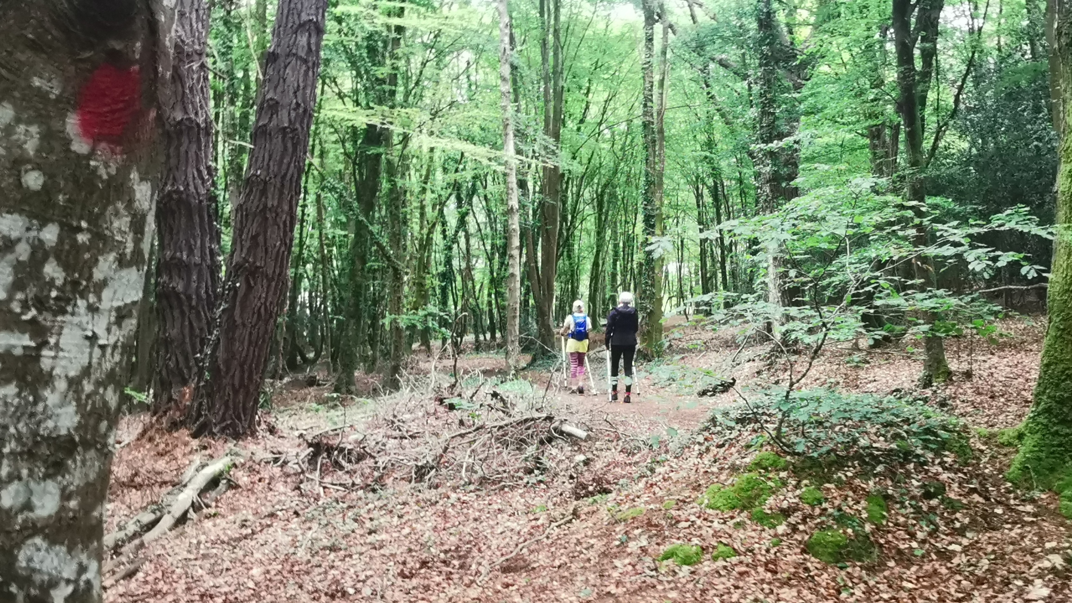 09-IMG_20210518_101507