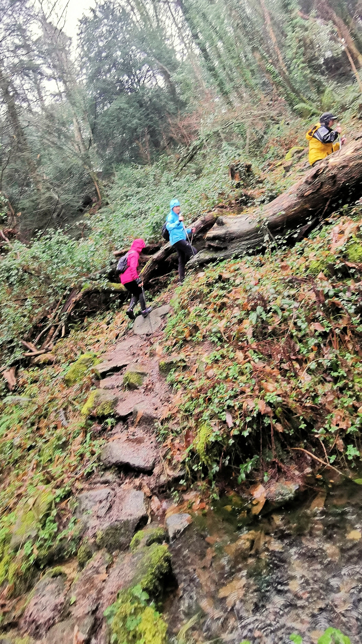 65-IMG_20210121_113319