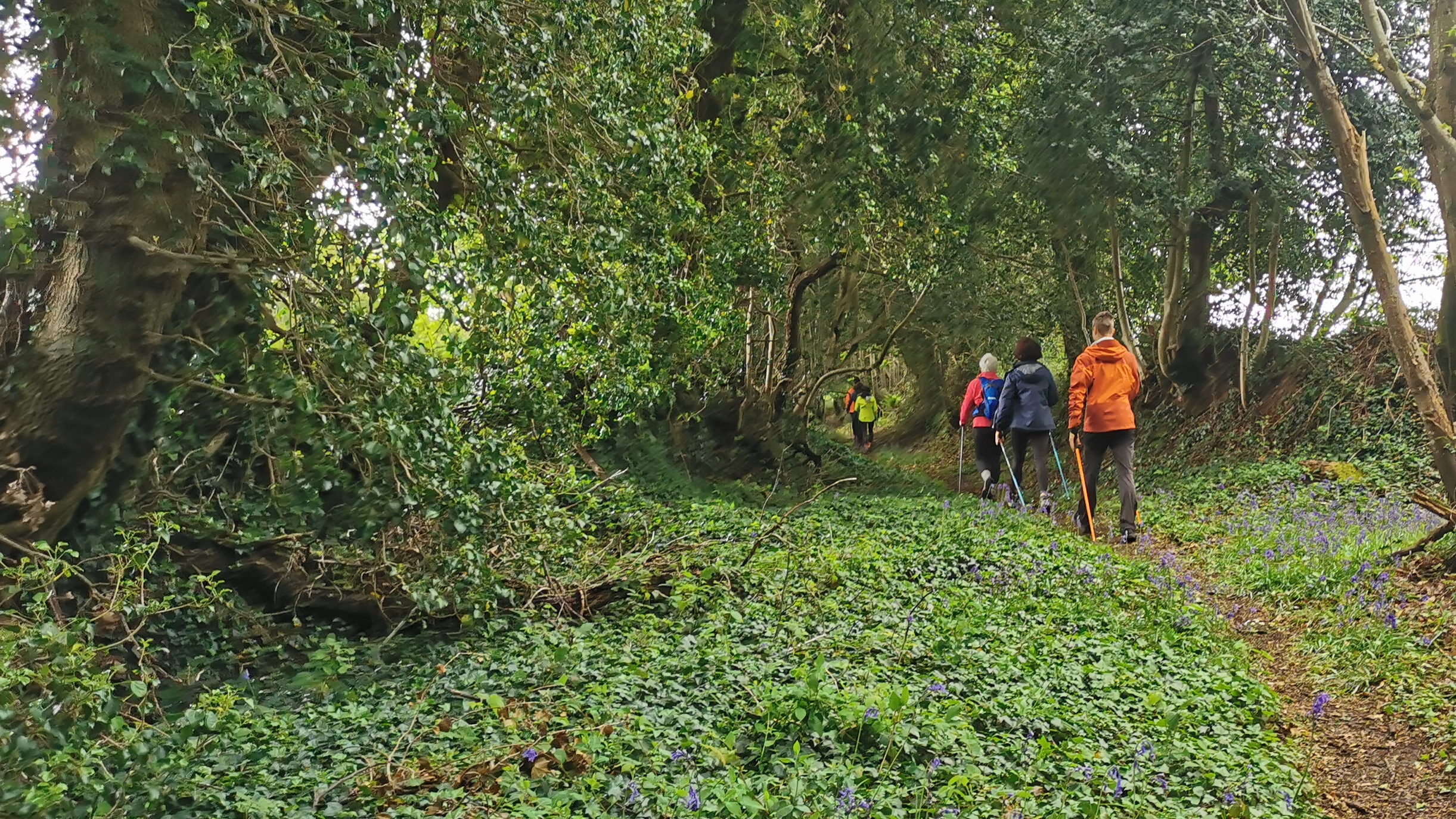 21-IMG_20210508_101735