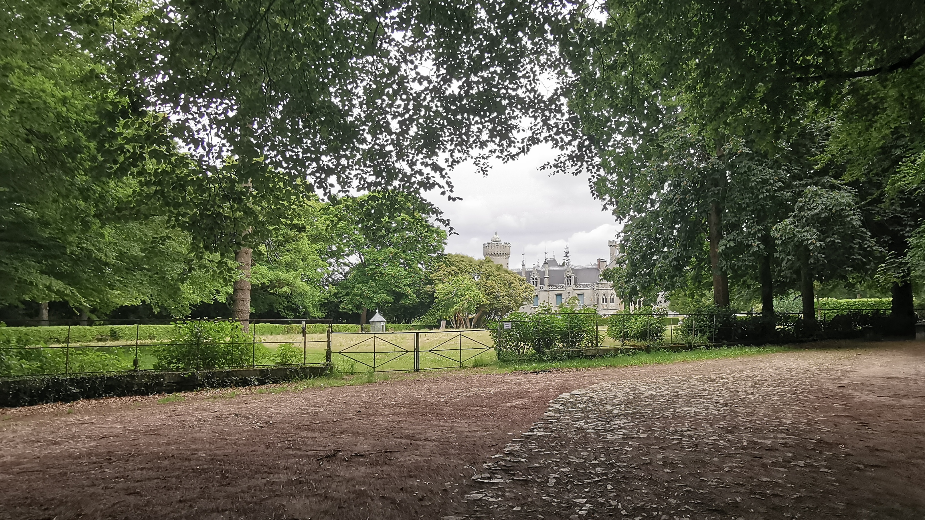 064-IMG_20210606_105840_1