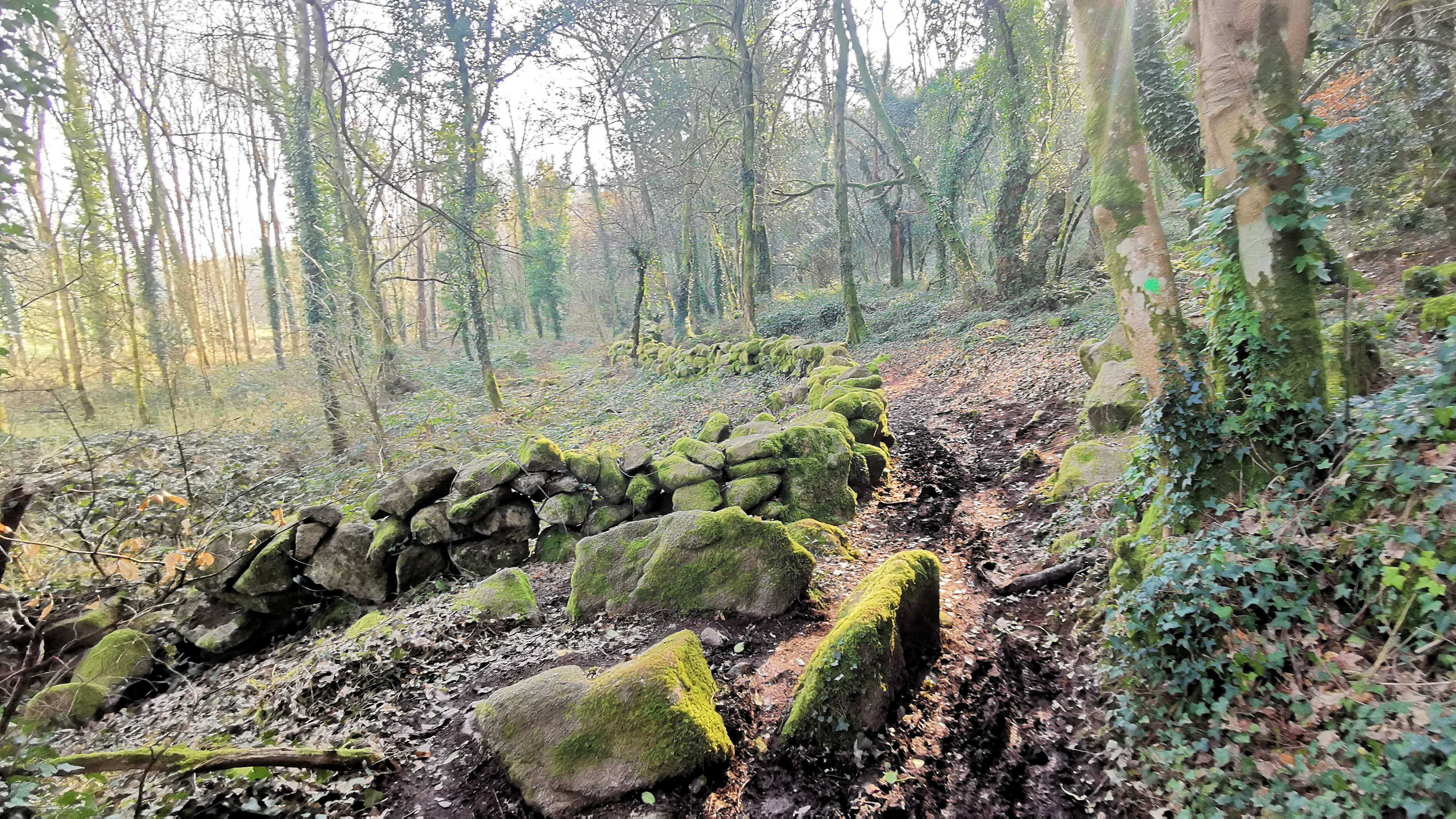 17-IMG_20210307_100825