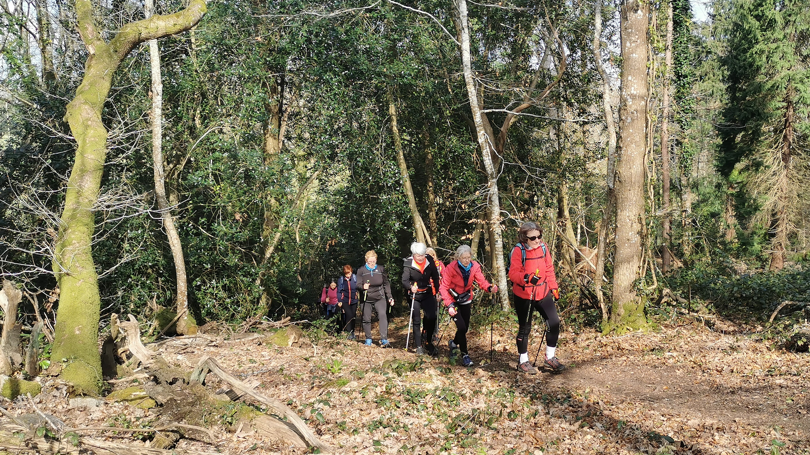 78-IMG_20210318_111339