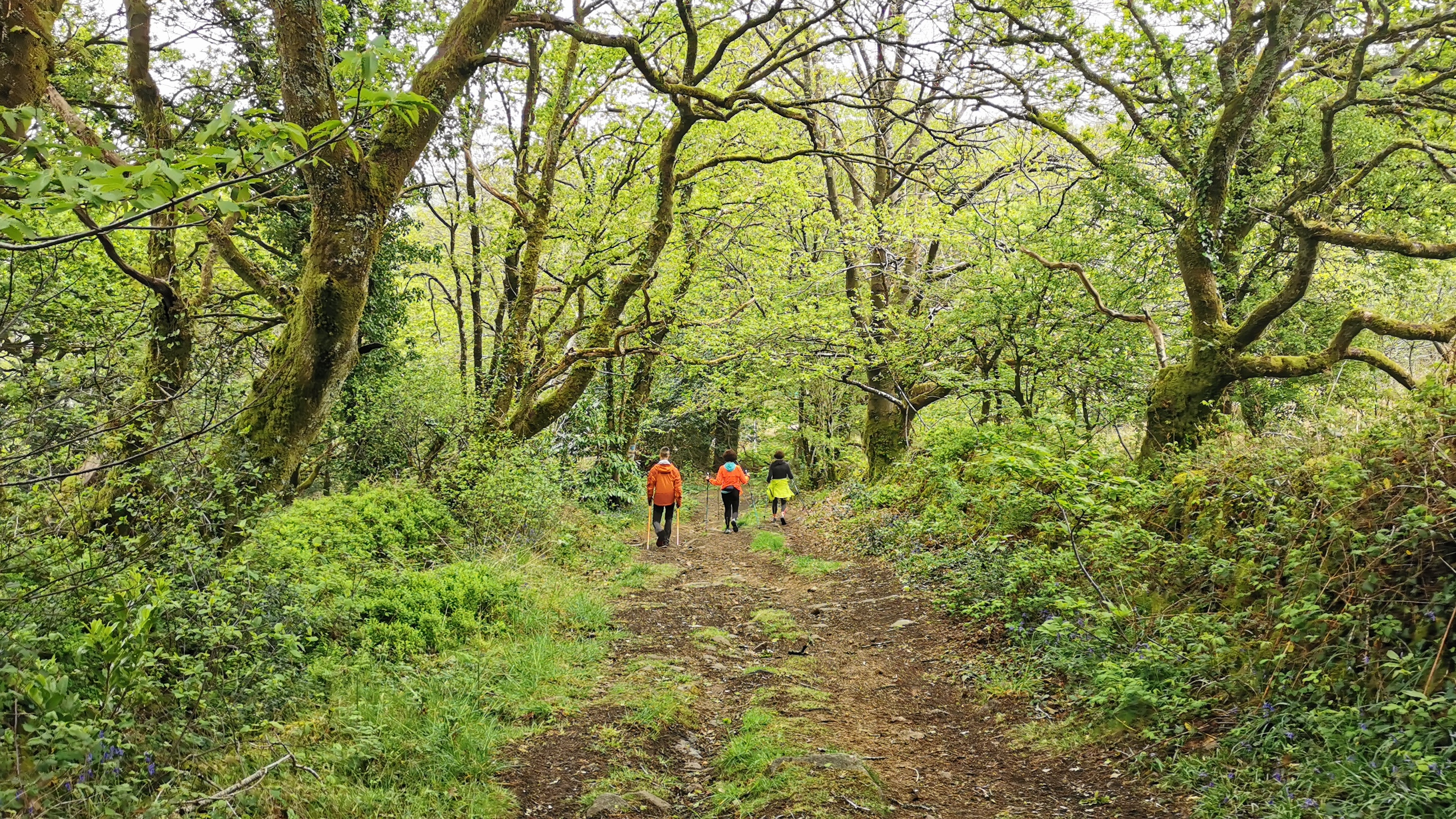 61-IMG_20210508_112435_1