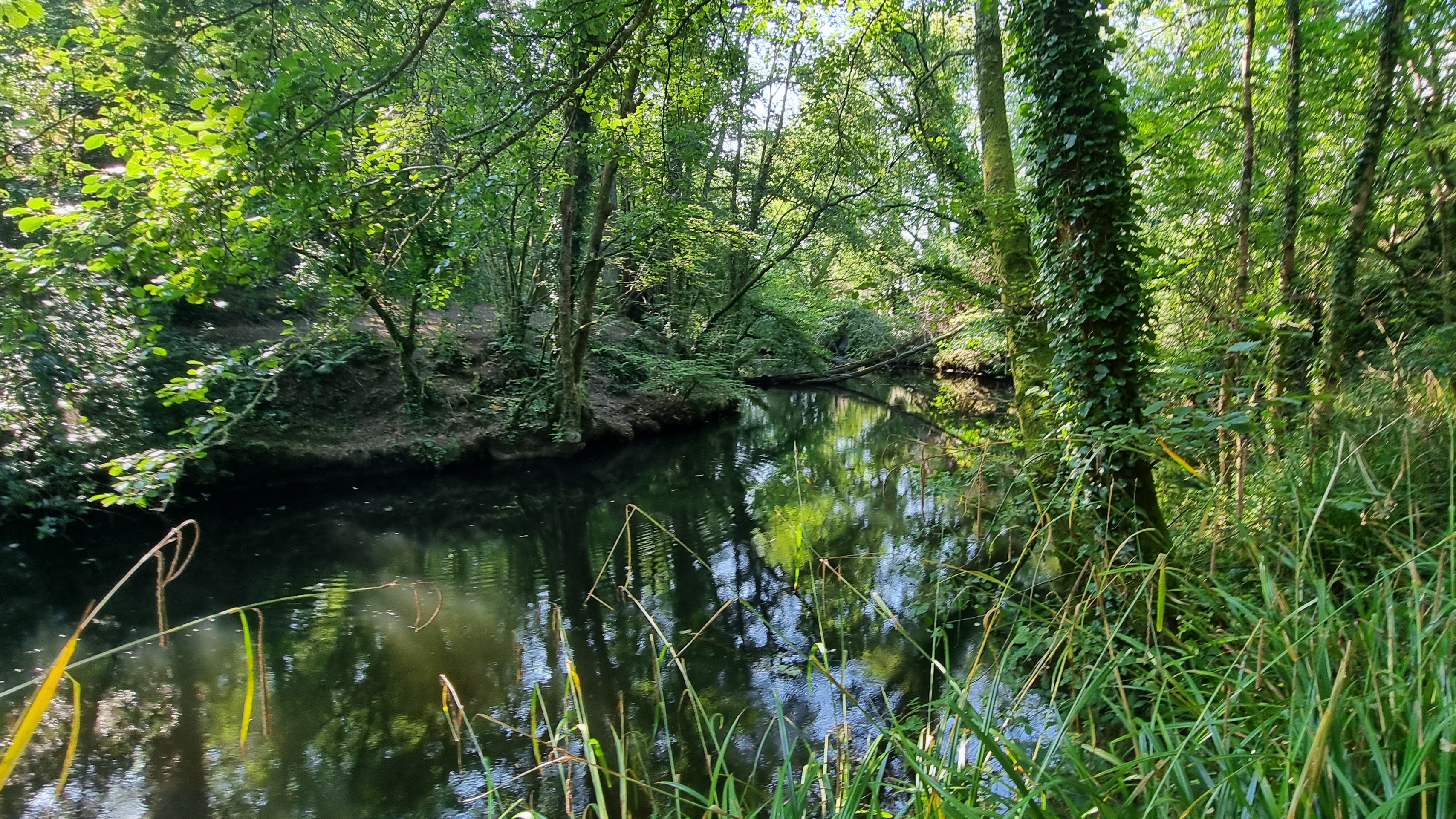 24-20210902_104646(0)