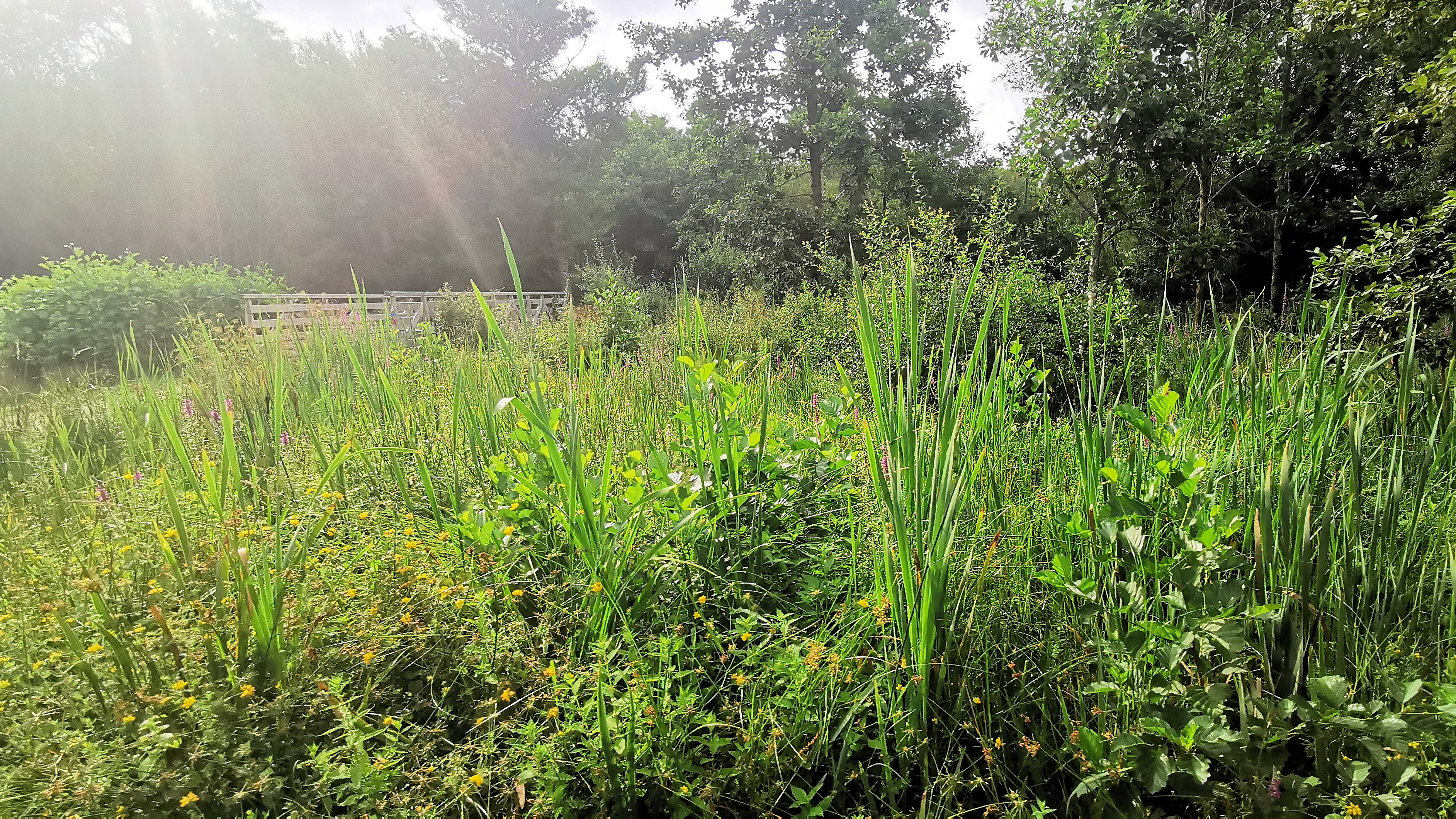 05-IMG_20210726_100307