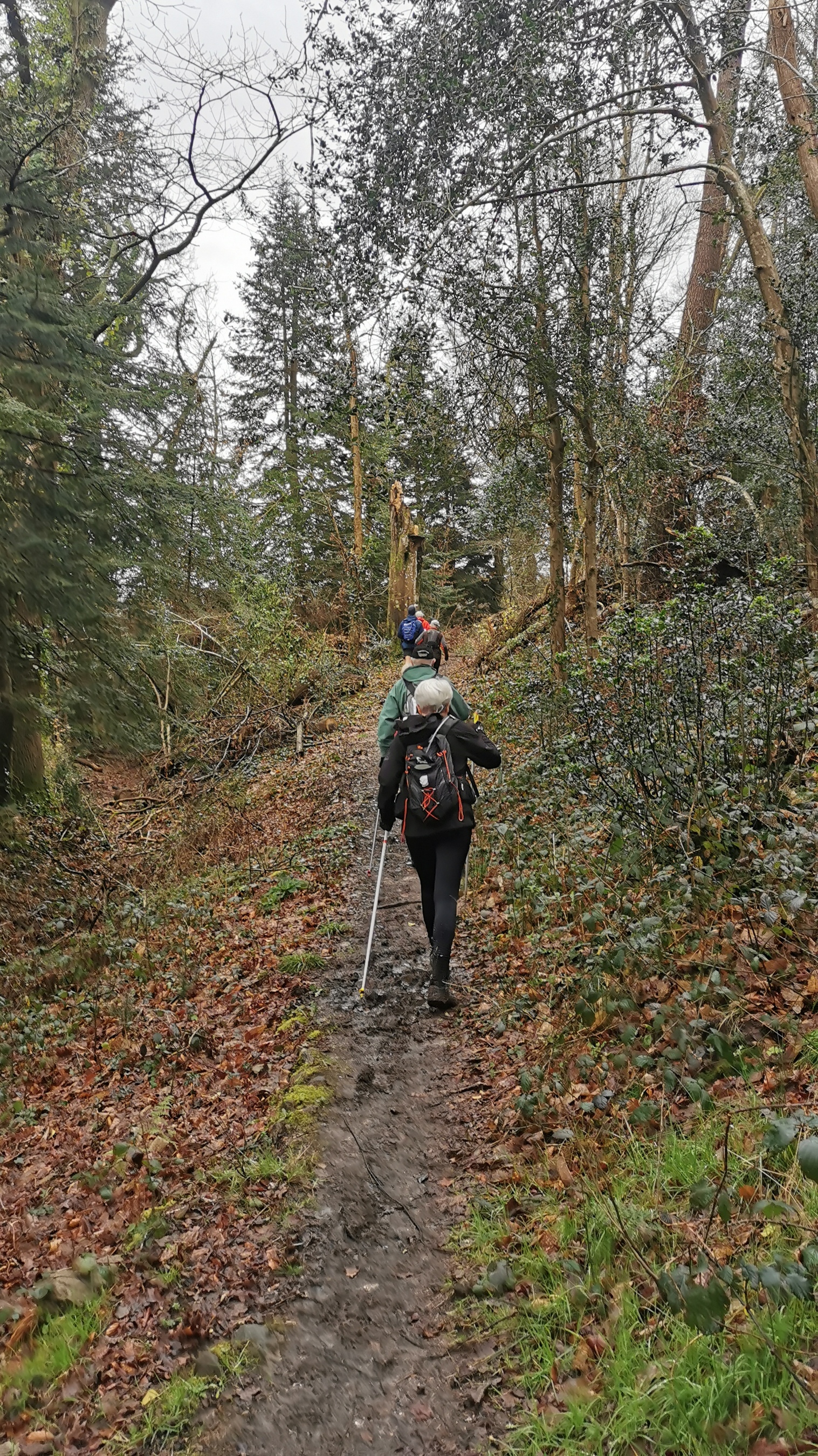 041-IMG_20210220_105509