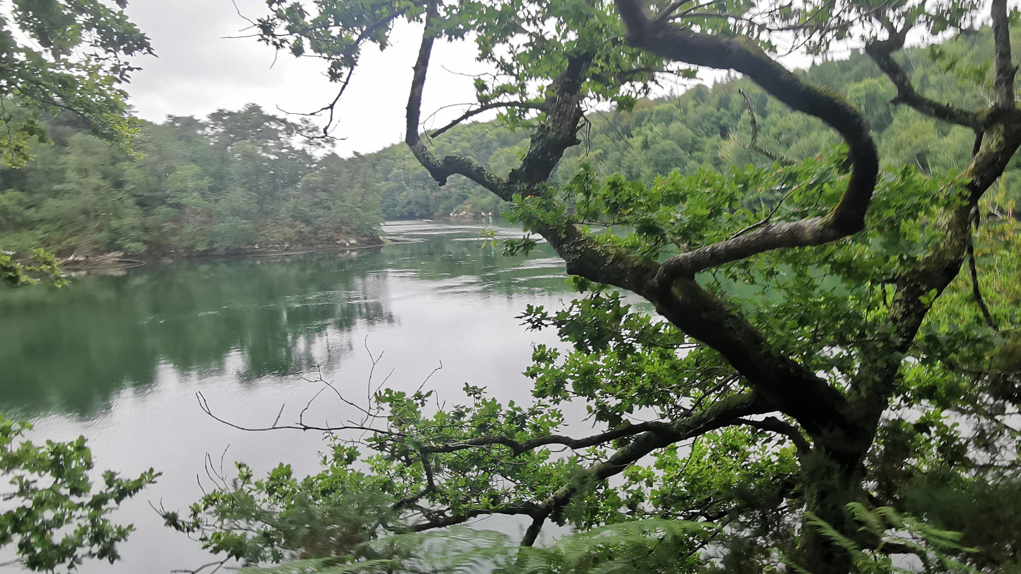 06-IMG_20210617_095514