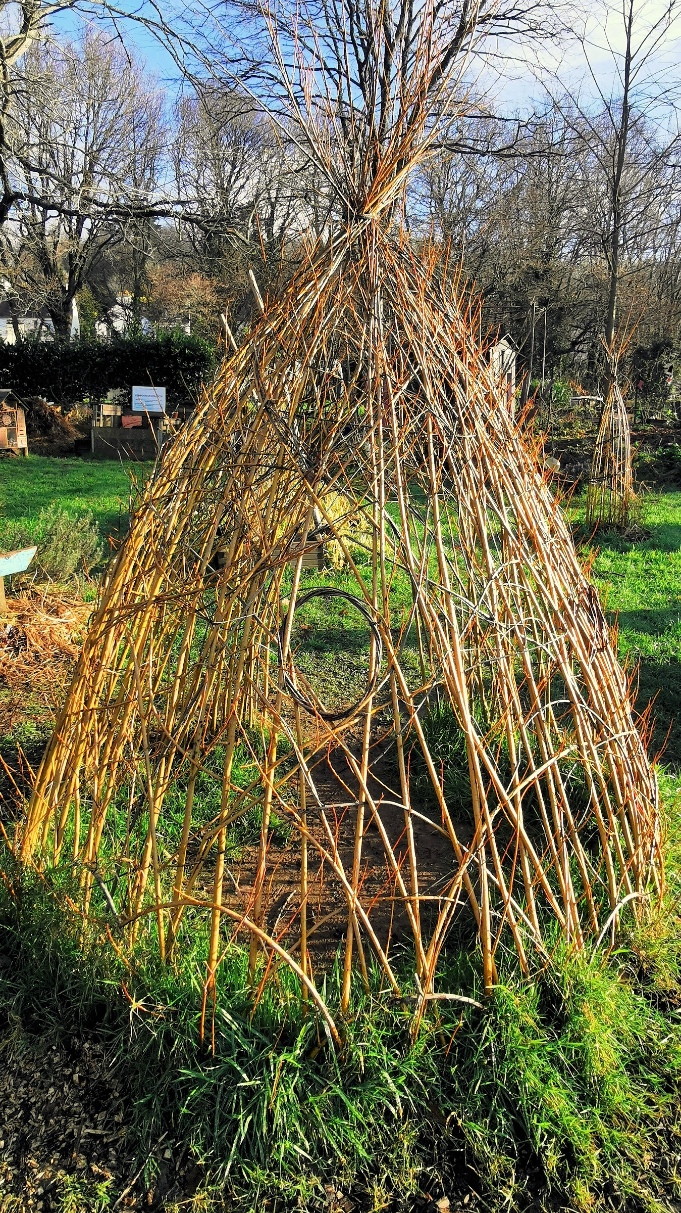 19-IMG_20210105_112107